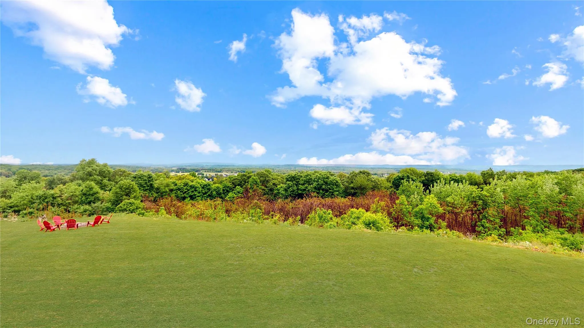 Expansive green lawn with a natural tree line border Expansive green lawn with a natural tree line border