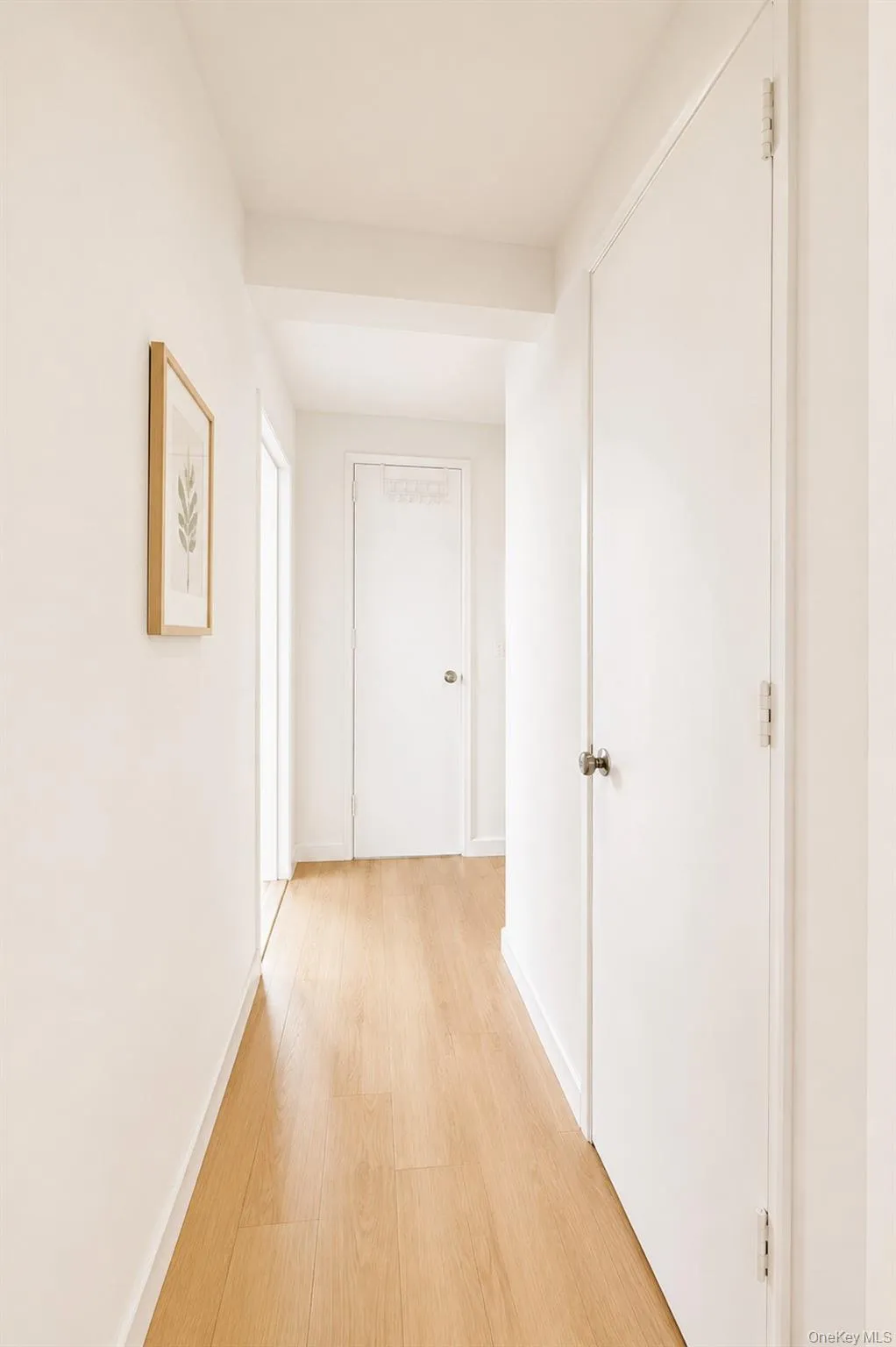 14470 41 Avenue, New York, NY, 1 Bedroom Bedrooms, 3 Rooms Rooms,1 BathroomBathrooms,Residential,For Rent,41,0,1004172 14470 41 Avenue, New York, NY, 1 Bedroom Bedrooms, 3 Rooms Rooms,1 BathroomBathrooms,Residential,For Rent,41,0,1004172