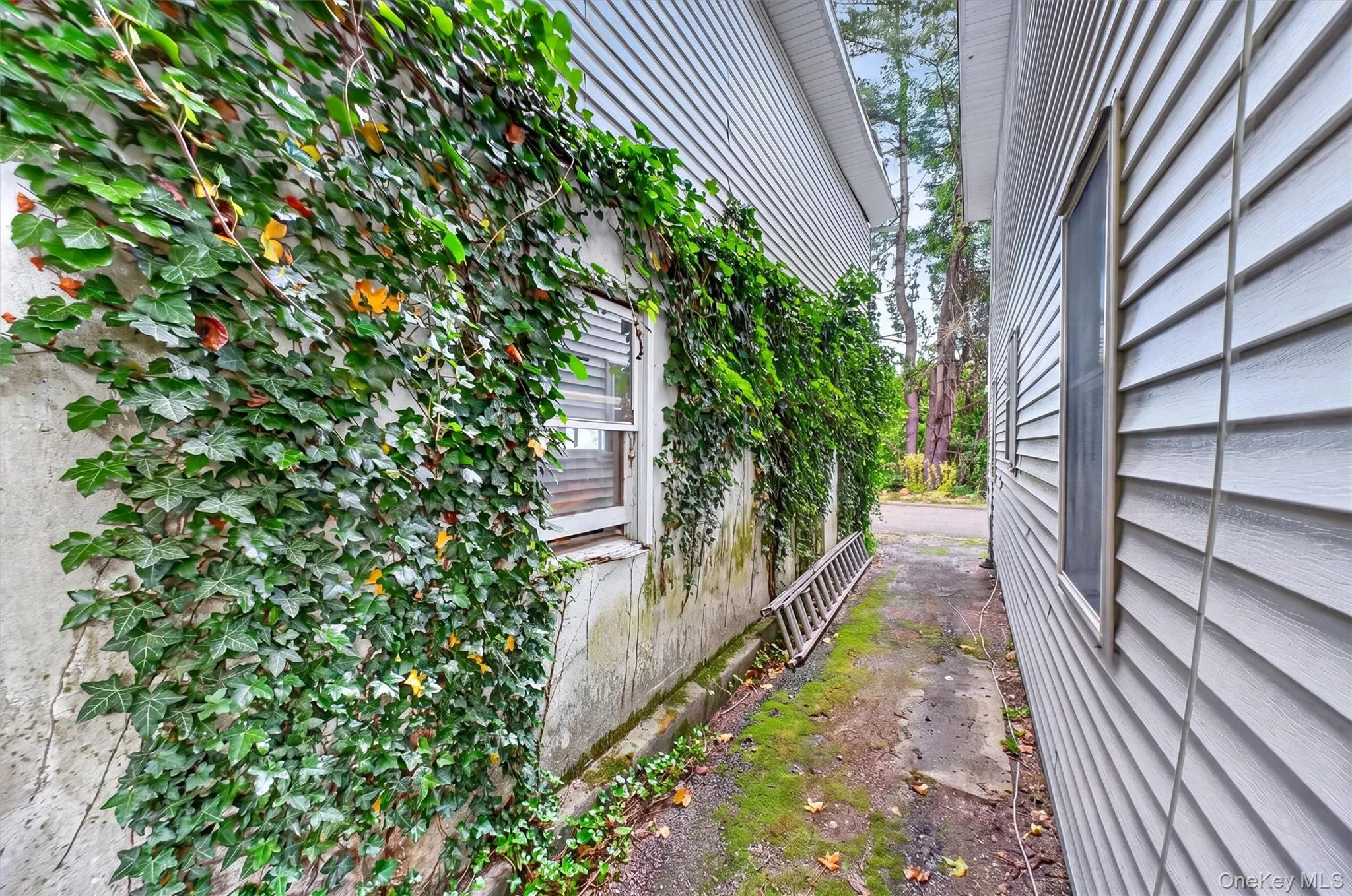88 Pines Bridge Road, Mount Kisco, NY, 4 Bedrooms Bedrooms, 9 Rooms Rooms,3 BathroomsBathrooms,Residential,For Rent,Pines Bridge,0,1004197 88 Pines Bridge Road, Mount Kisco, NY, 4 Bedrooms Bedrooms, 9 Rooms Rooms,3 BathroomsBathrooms,Residential,For Rent,Pines Bridge,0,1004197