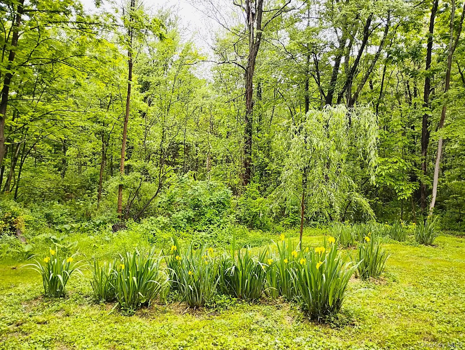 17 Gretna Hill Road, Pleasant Valley, NY, 2 Bedrooms Bedrooms, 5 Rooms Rooms,2 BathroomsBathrooms,Residential,For Rent,Gretna Hill,0,1004244 17 Gretna Hill Road, Pleasant Valley, NY, 2 Bedrooms Bedrooms, 5 Rooms Rooms,2 BathroomsBathrooms,Residential,For Rent,Gretna Hill,0,1004244