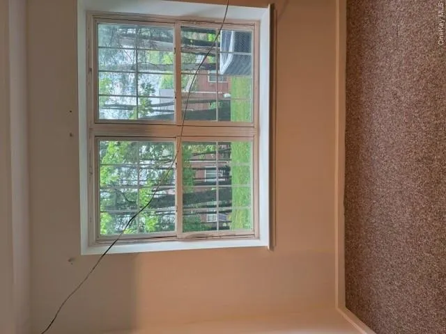 Basement Basement