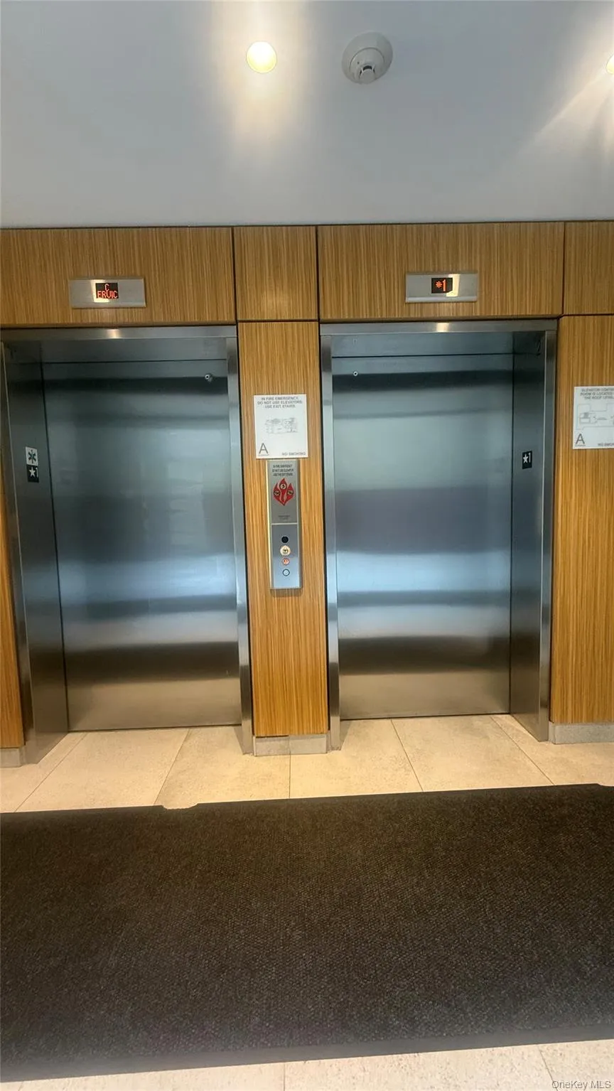 839 Tilden Street, New York, NY, 1 Bedroom Bedrooms, 4 Rooms Rooms,1 BathroomBathrooms,Residential,For Rent,Tilden,0,1004250 839 Tilden Street, New York, NY, 1 Bedroom Bedrooms, 4 Rooms Rooms,1 BathroomBathrooms,Residential,For Rent,Tilden,0,1004250