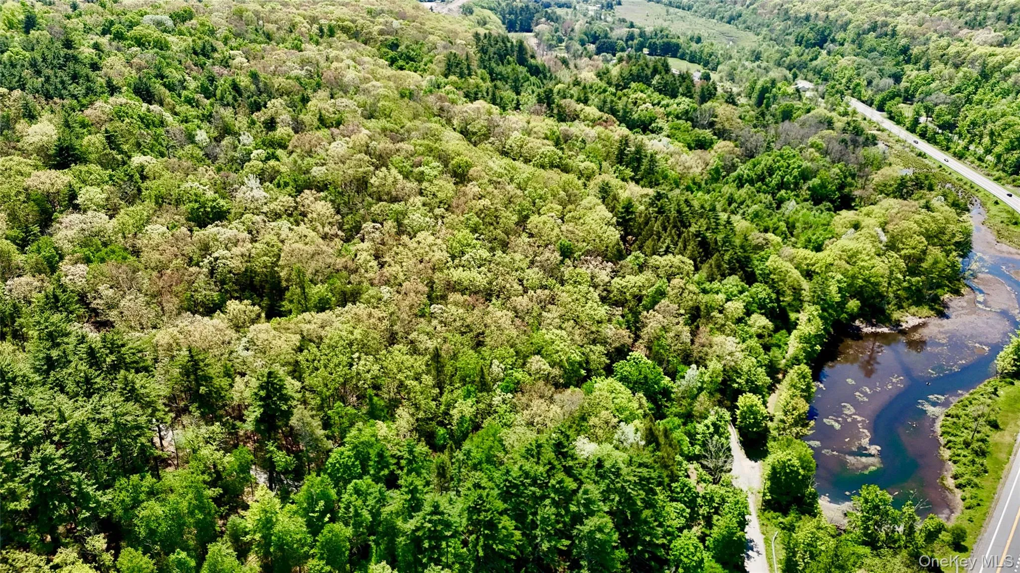 secluded property. secluded property.