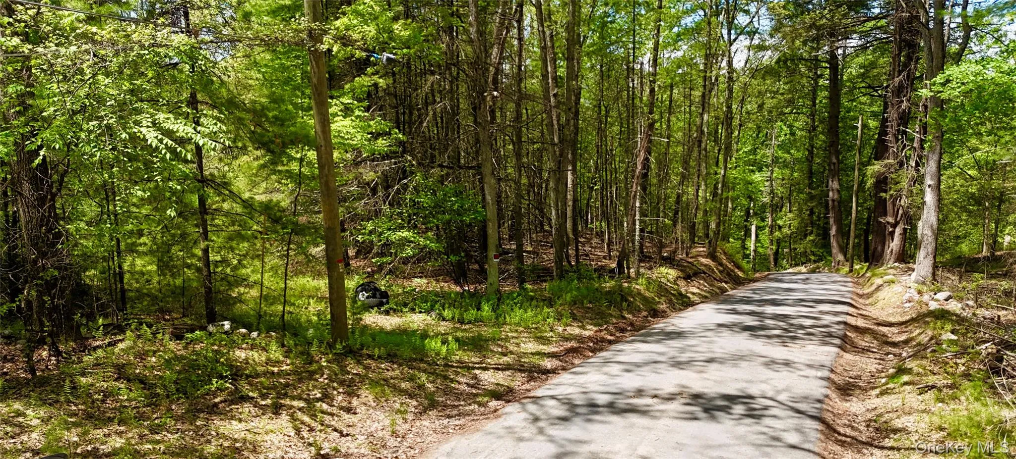 Facing towards 209. Property is on the left. Facing towards 209. Property is on the left.
