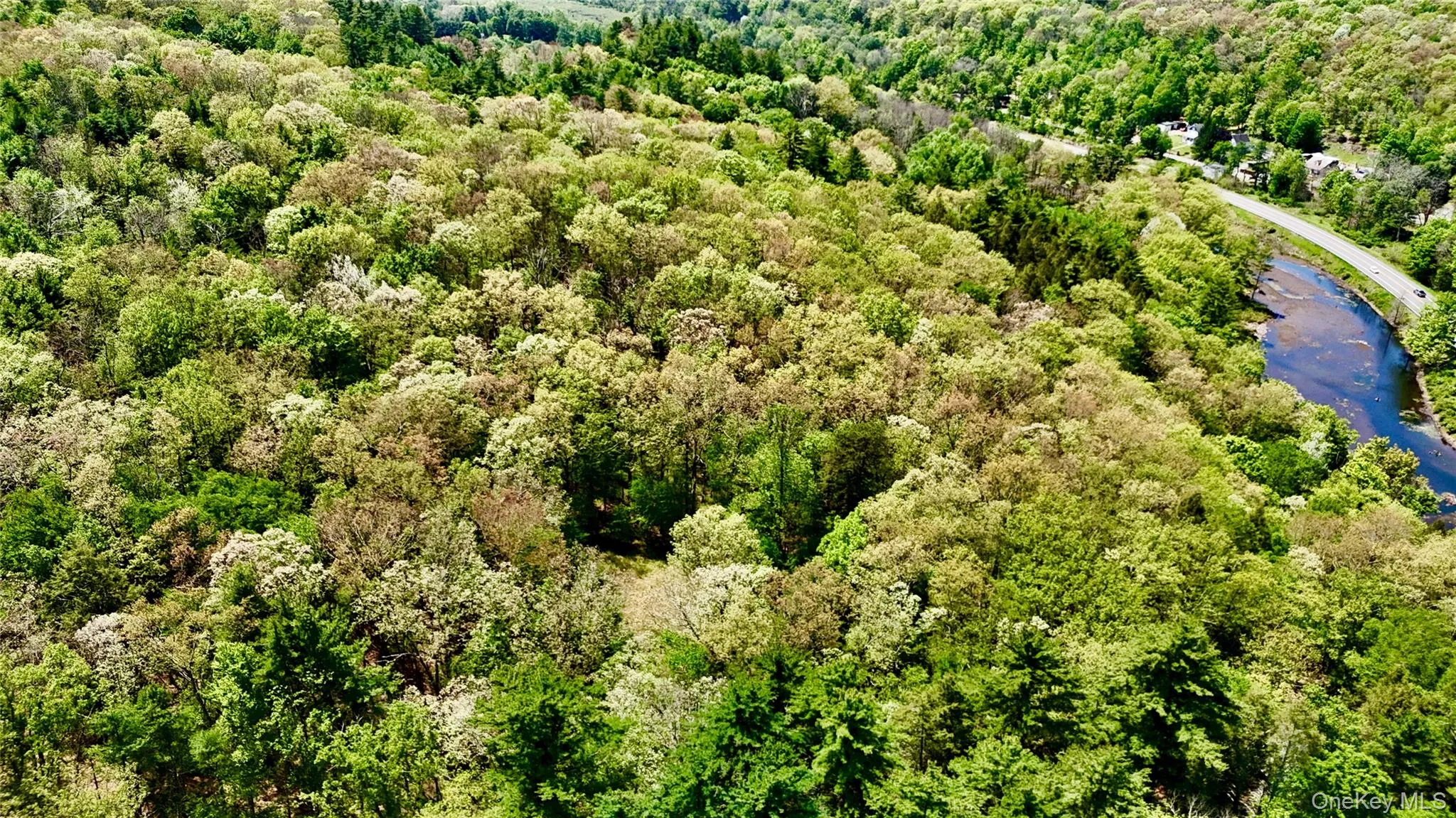 Secluded property. Secluded property.