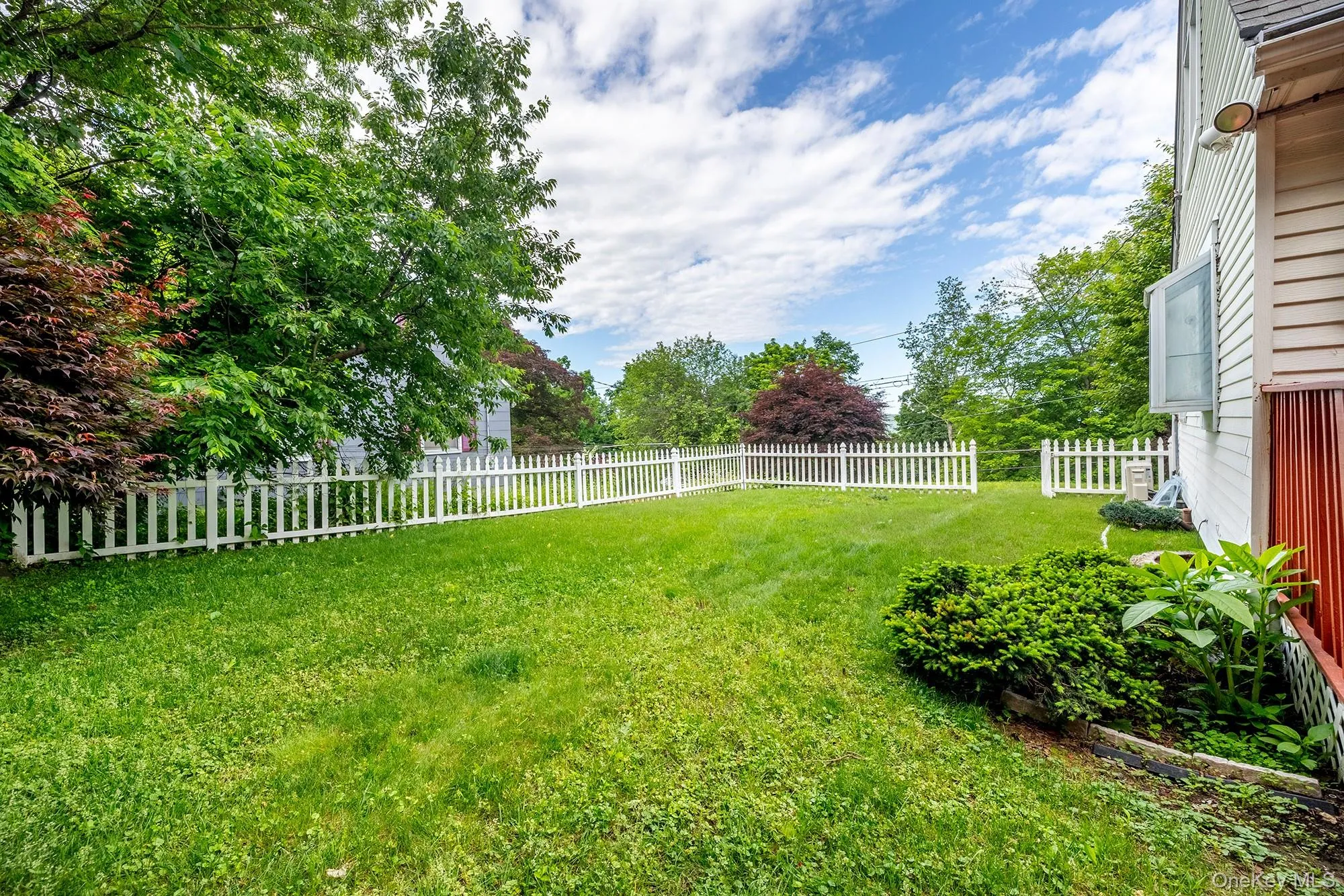 Backyard Backyard
