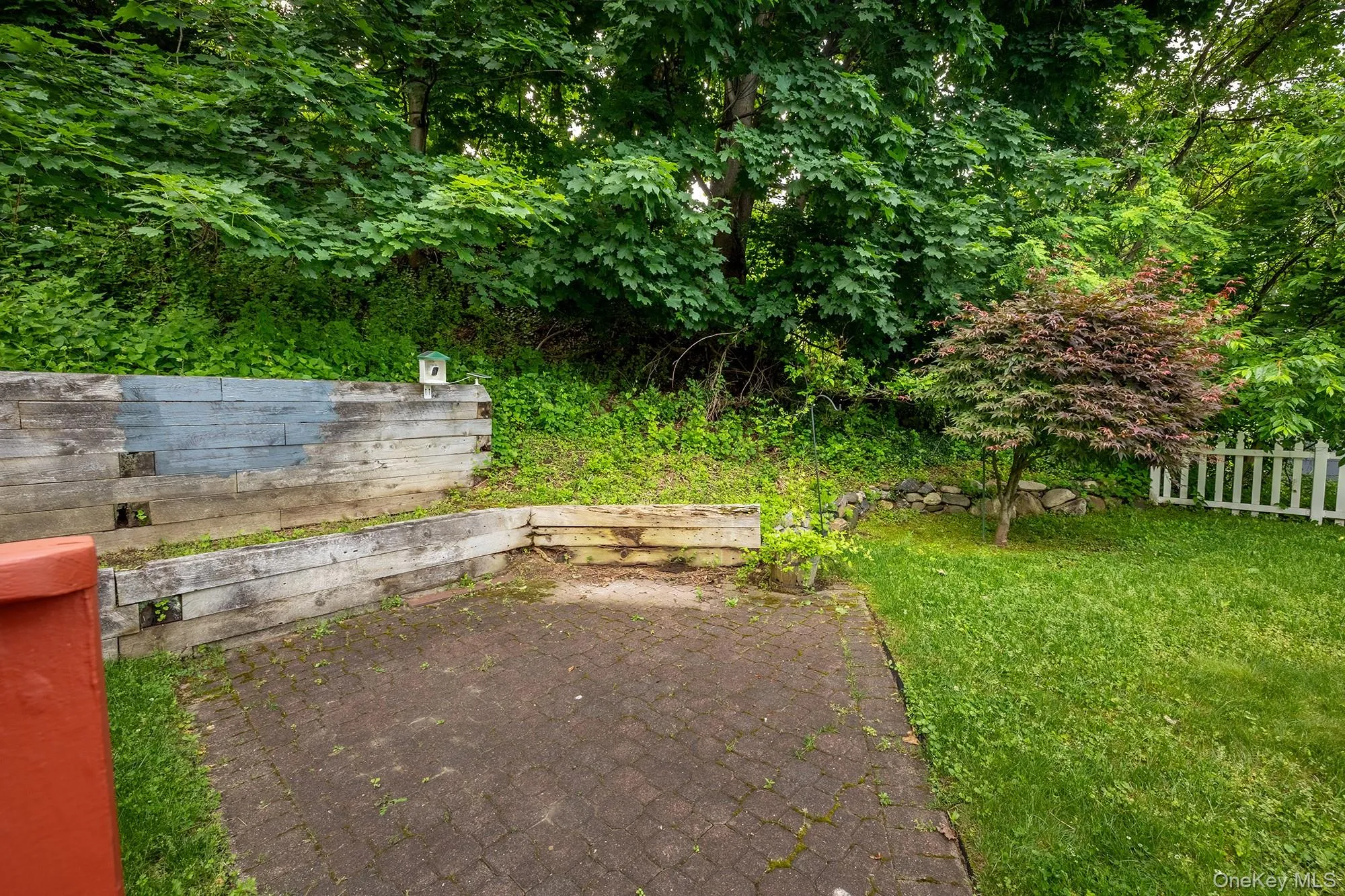 Backyard Backyard