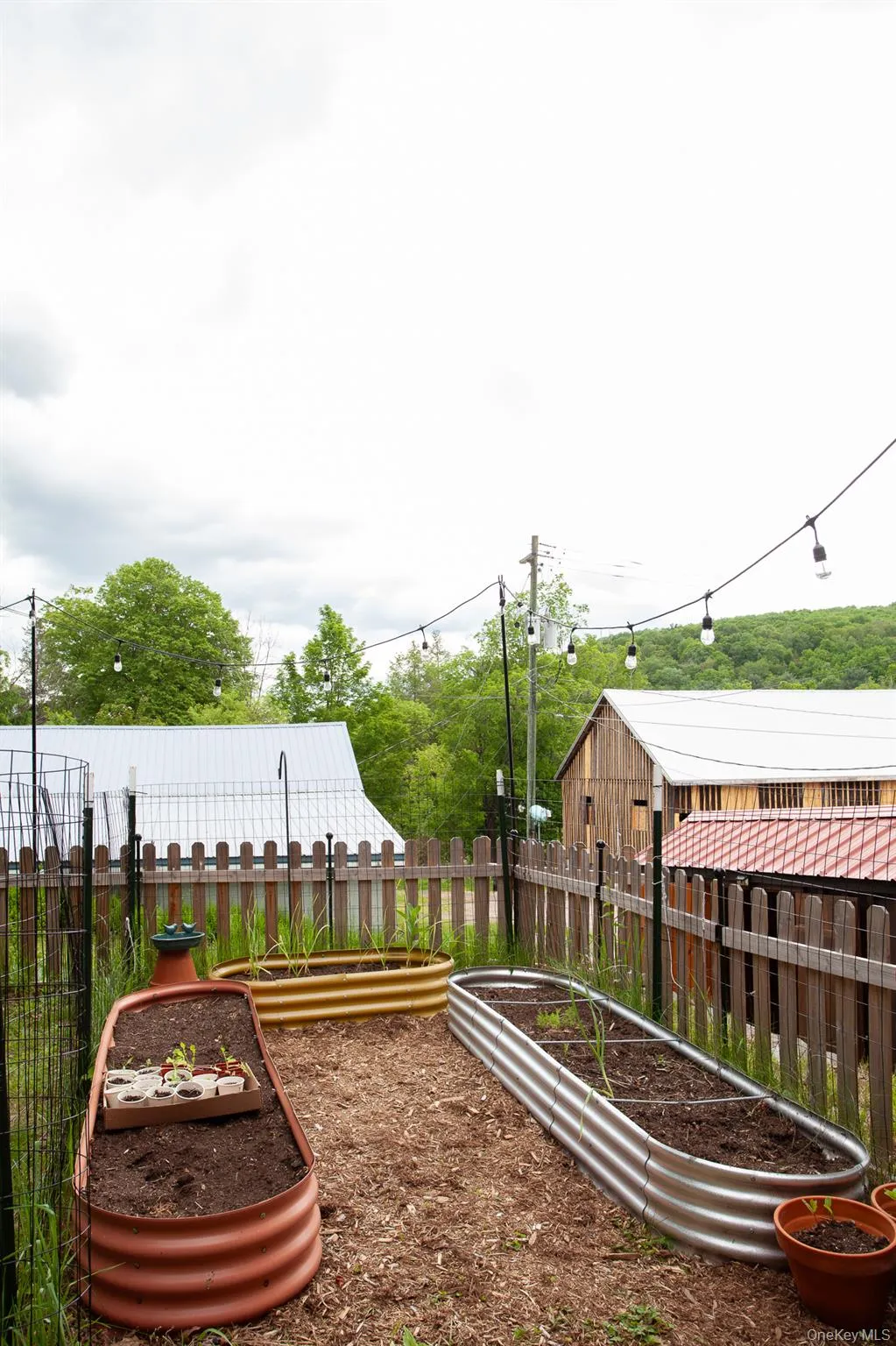 40 Jefferson Avenue, Callicoon, NY, 3 Bedrooms Bedrooms, 6 Rooms Rooms,1 BathroomBathrooms,Residential,For Rent,Jefferson,0,1004310 40 Jefferson Avenue, Callicoon, NY, 3 Bedrooms Bedrooms, 6 Rooms Rooms,1 BathroomBathrooms,Residential,For Rent,Jefferson,0,1004310