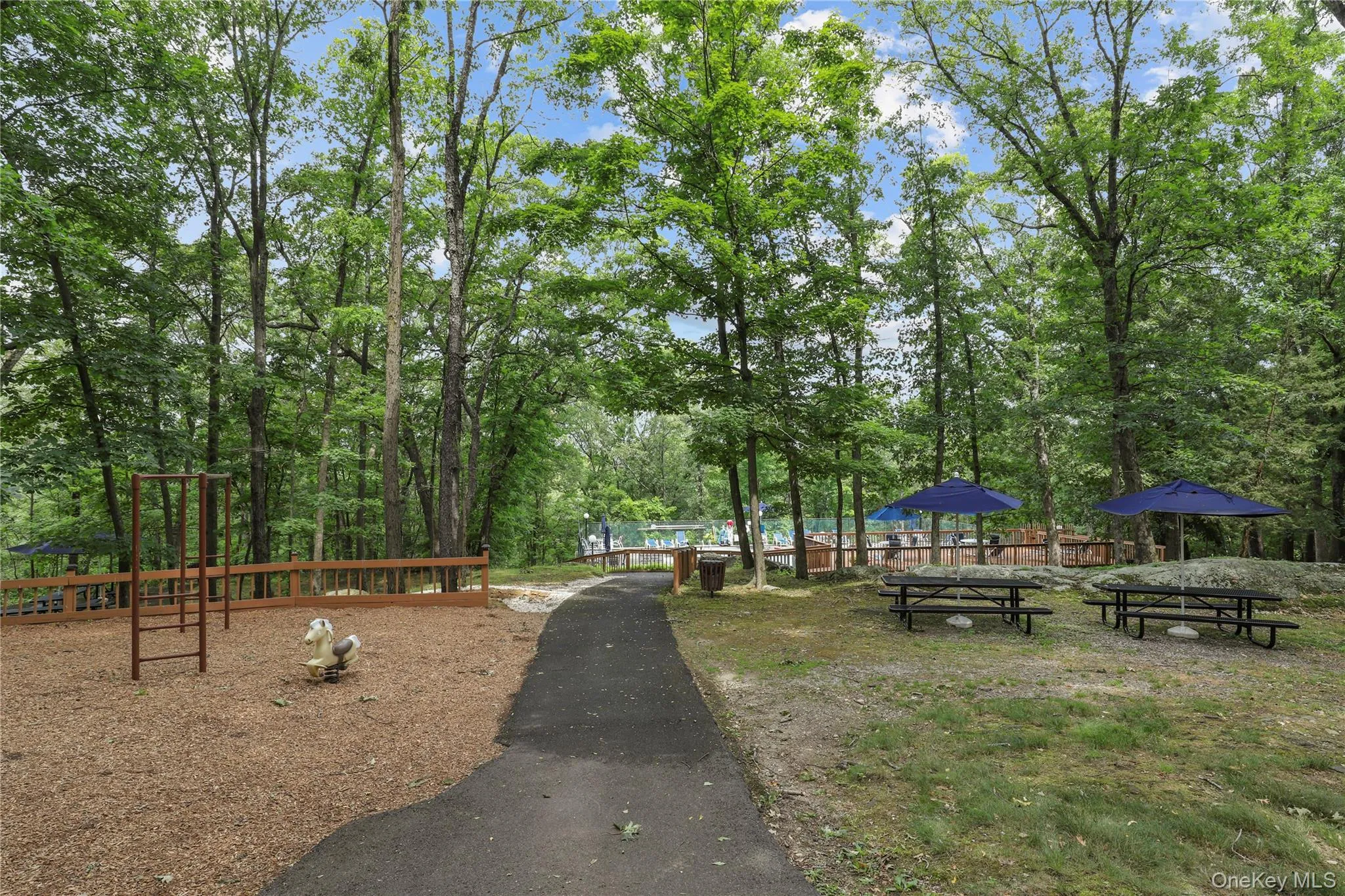 BBQ Area BBQ Area