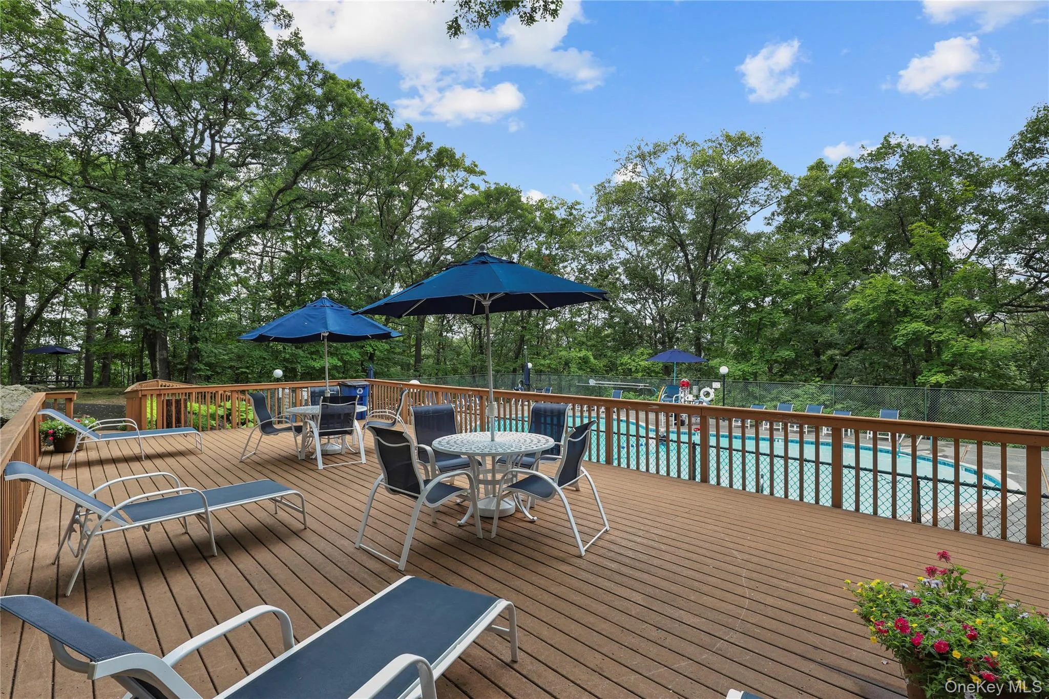 Pool Deck Pool Deck