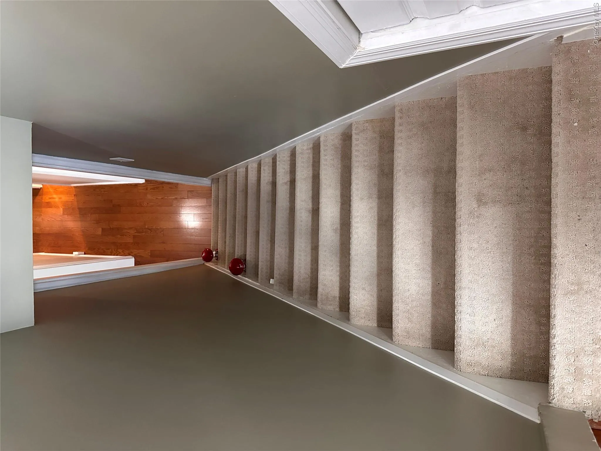 Basement outside Separate entrance Basement outside Separate entrance