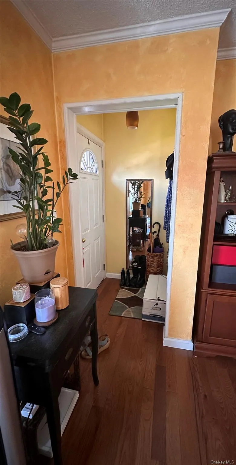 568 Irving Street, North Hempstead, NY, 3 Bedrooms Bedrooms, 9 Rooms Rooms,2 BathroomsBathrooms,Residential,For Rent,Irving,0,1004362 568 Irving Street, North Hempstead, NY, 3 Bedrooms Bedrooms, 9 Rooms Rooms,2 BathroomsBathrooms,Residential,For Rent,Irving,0,1004362