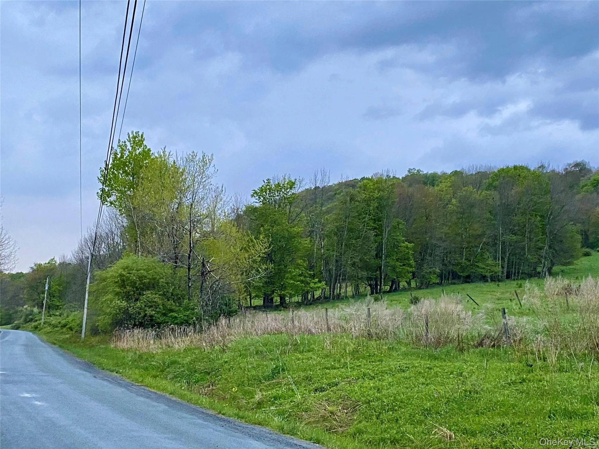 301 & 305 Hust Road Hust, Callicoon, NY, ,Land,For Rent,Hust,0,1004370 301 & 305 Hust Road Hust, Callicoon, NY, ,Land,For Rent,Hust,0,1004370