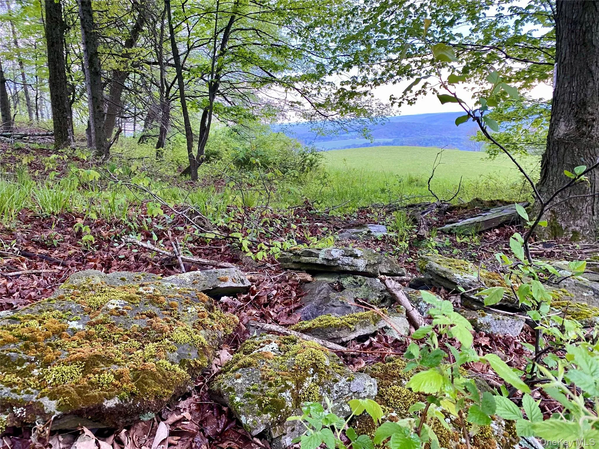 301 & 305 Hust Road Hust, Callicoon, NY, ,Land,For Rent,Hust,0,1004370 301 & 305 Hust Road Hust, Callicoon, NY, ,Land,For Rent,Hust,0,1004370