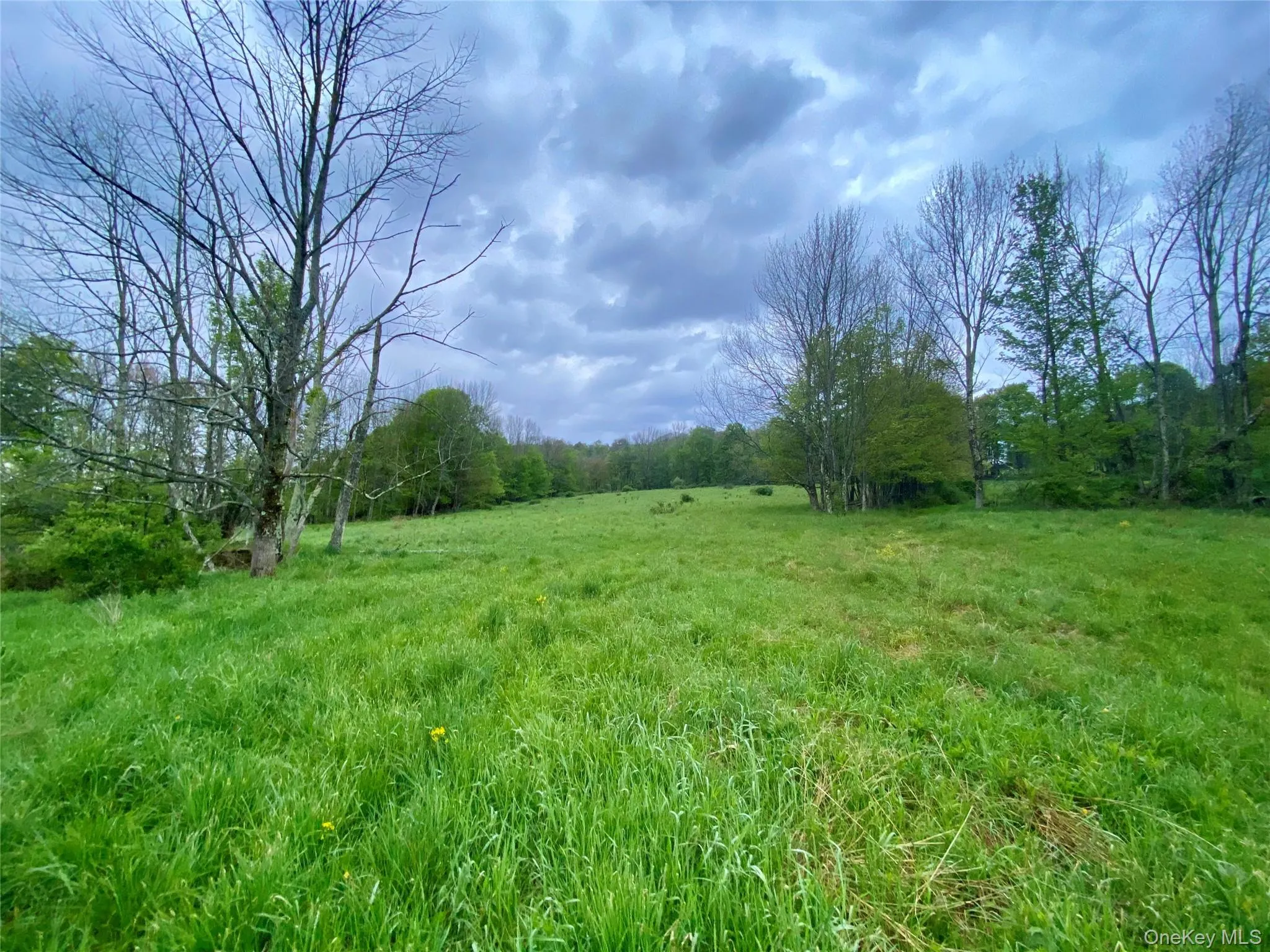 301 & 305 Hust Road Hust, Callicoon, NY, ,Land,For Rent,Hust,0,1004370 301 & 305 Hust Road Hust, Callicoon, NY, ,Land,For Rent,Hust,0,1004370