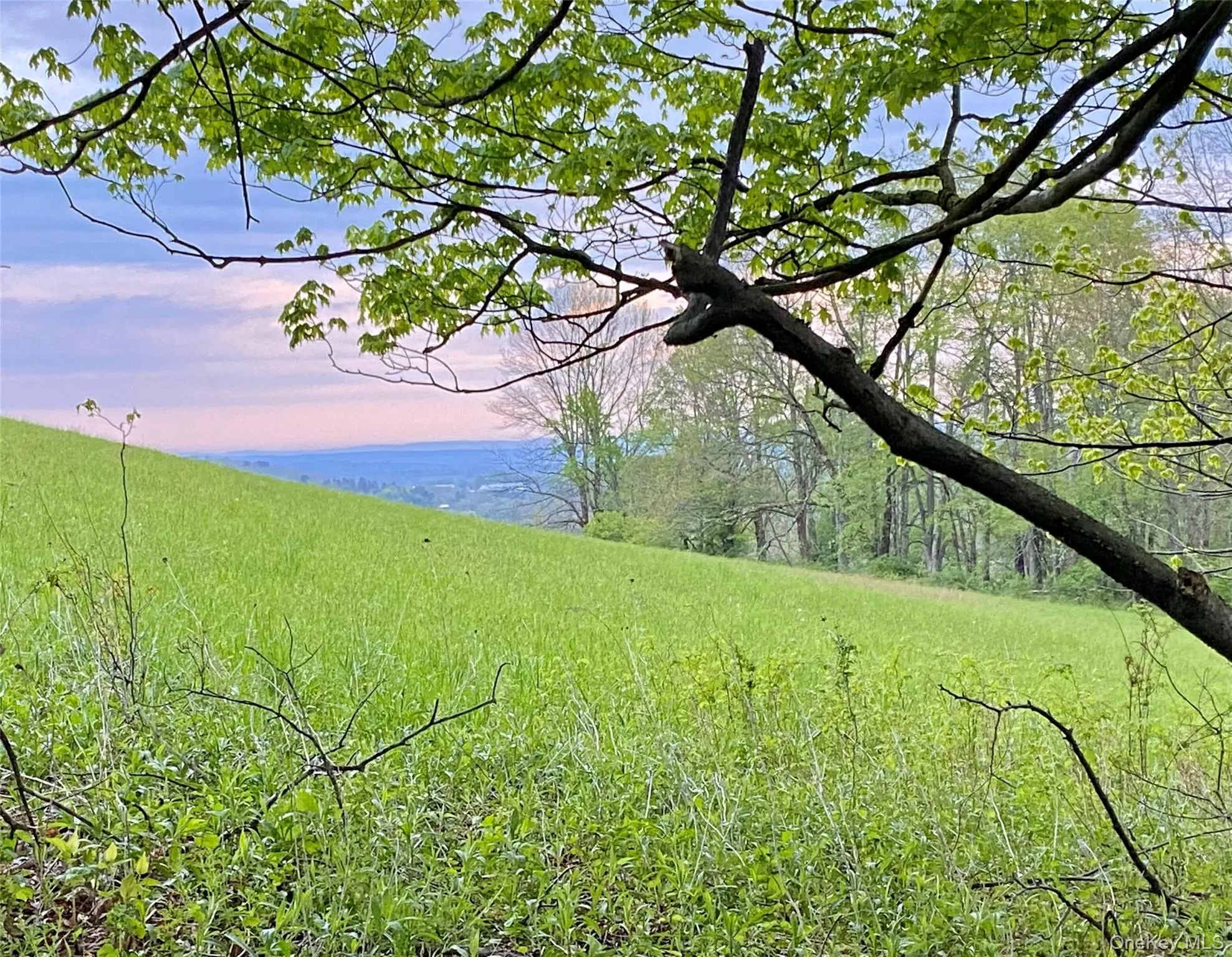 301 & 305 Hust Road Hust, Callicoon, NY, ,Land,For Rent,Hust,0,1004370 301 & 305 Hust Road Hust, Callicoon, NY, ,Land,For Rent,Hust,0,1004370