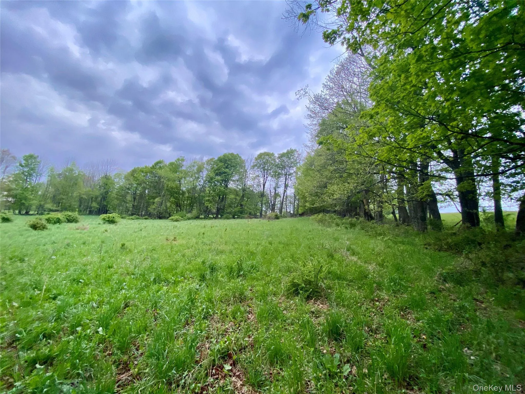 301 & 305 Hust Road Hust, Callicoon, NY, ,Land,For Rent,Hust,0,1004370 301 & 305 Hust Road Hust, Callicoon, NY, ,Land,For Rent,Hust,0,1004370