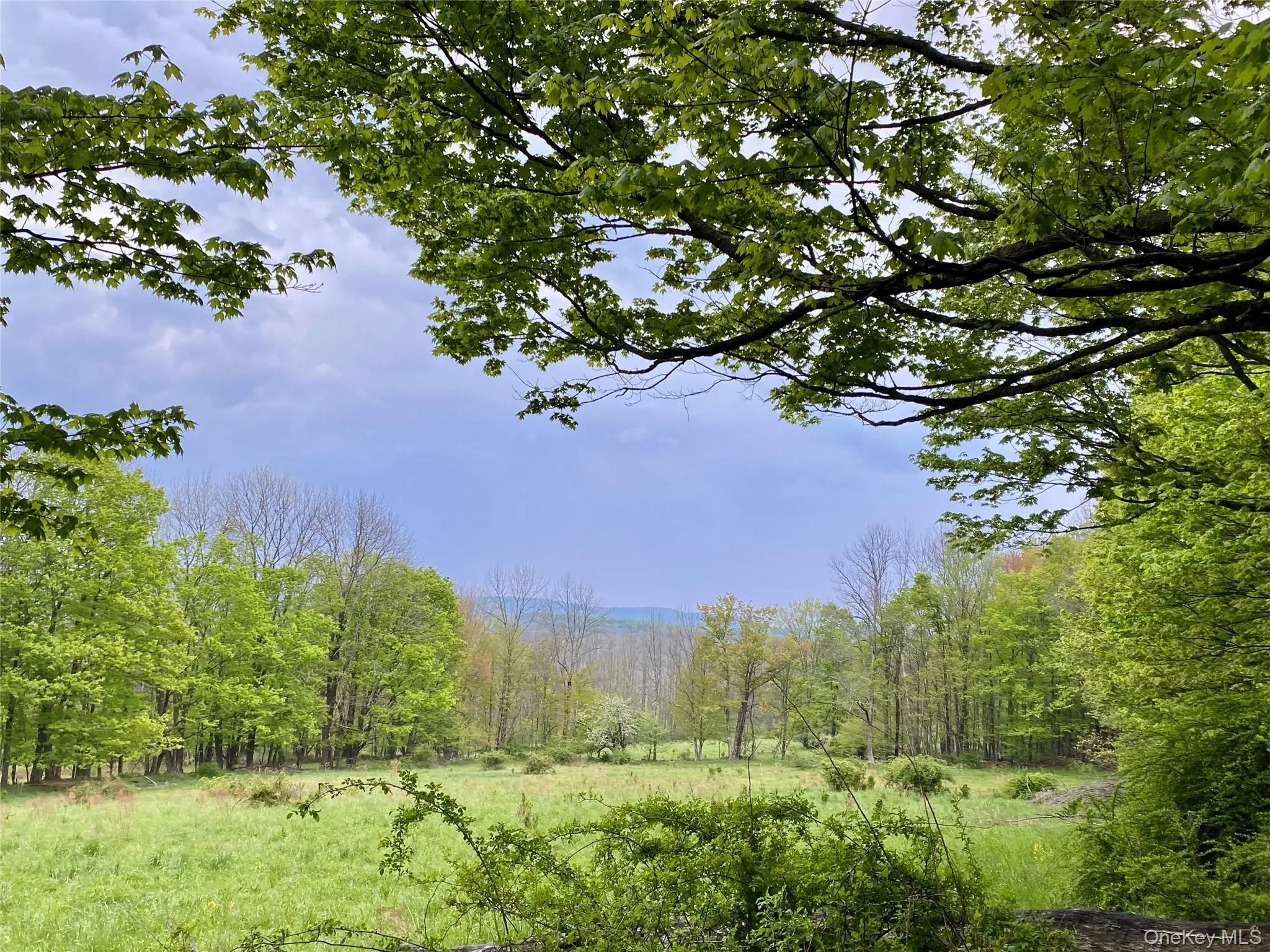 301 & 305 Hust Road Hust, Callicoon, NY, ,Land,For Rent,Hust,0,1004370 301 & 305 Hust Road Hust, Callicoon, NY, ,Land,For Rent,Hust,0,1004370
