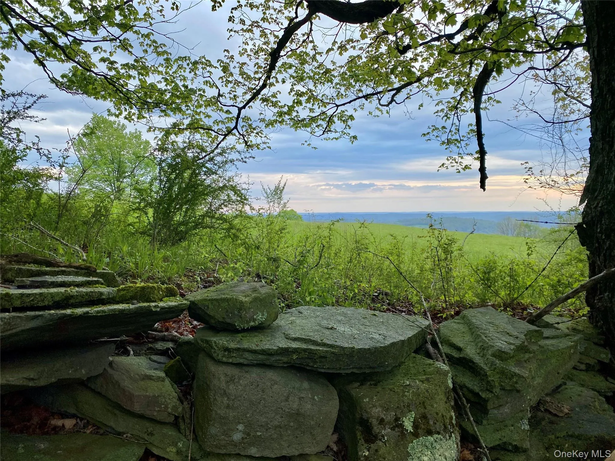 301 & 305 Hust Road Hust, Callicoon, NY, ,Land,For Rent,Hust,0,1004370 301 & 305 Hust Road Hust, Callicoon, NY, ,Land,For Rent,Hust,0,1004370