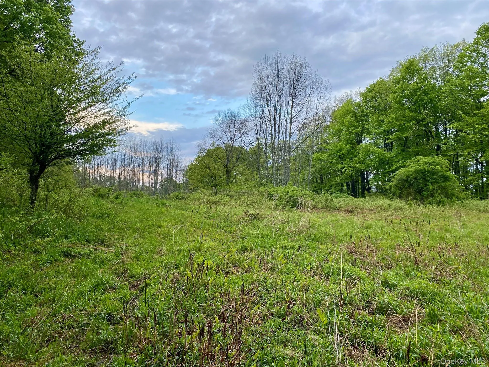 301 & 305 Hust Road Hust, Callicoon, NY, ,Land,For Rent,Hust,0,1004370 301 & 305 Hust Road Hust, Callicoon, NY, ,Land,For Rent,Hust,0,1004370