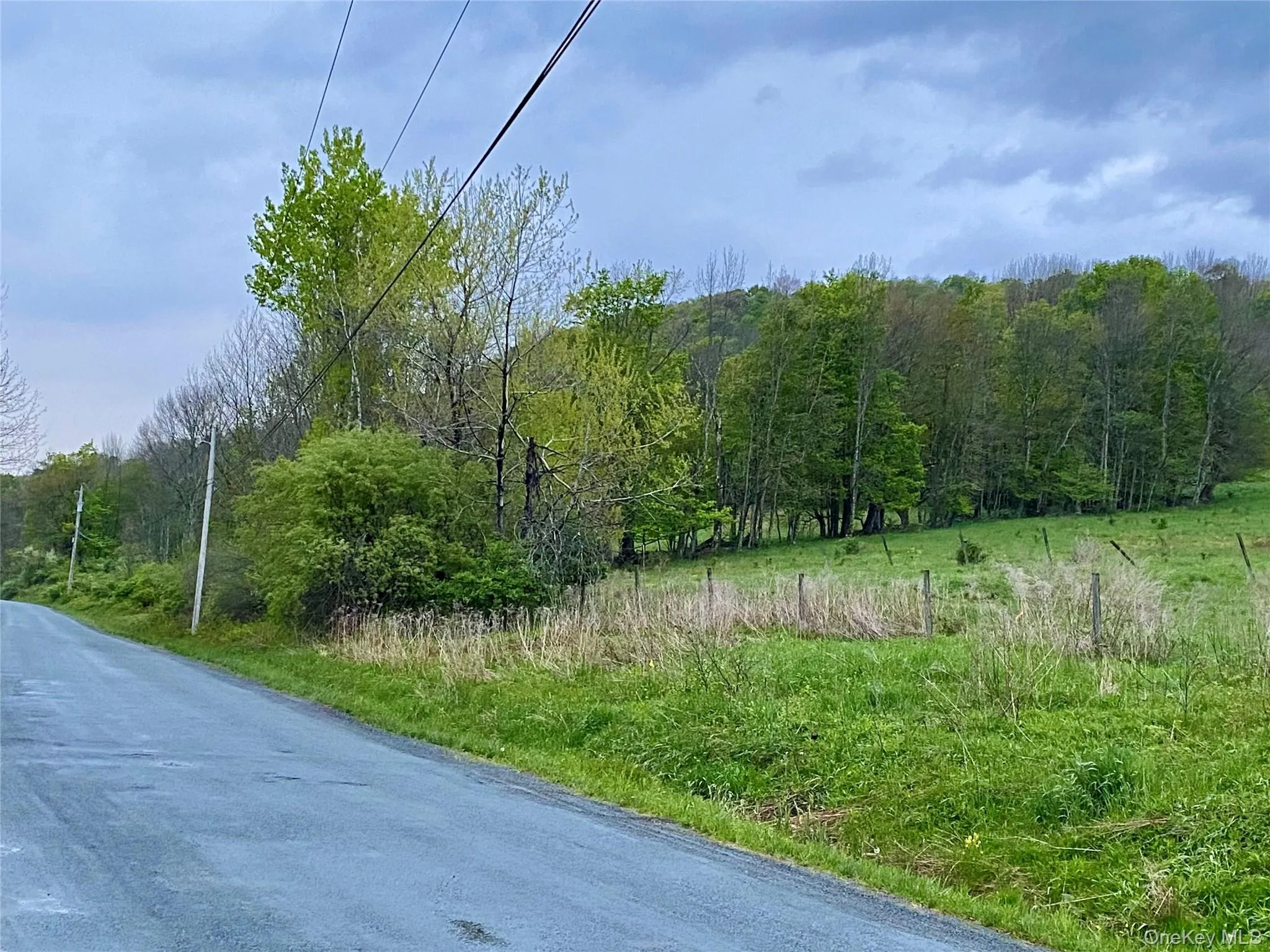 301 & 305 Hust Road Hust, Callicoon, NY, ,Land,For Rent,Hust,0,1004370 301 & 305 Hust Road Hust, Callicoon, NY, ,Land,For Rent,Hust,0,1004370