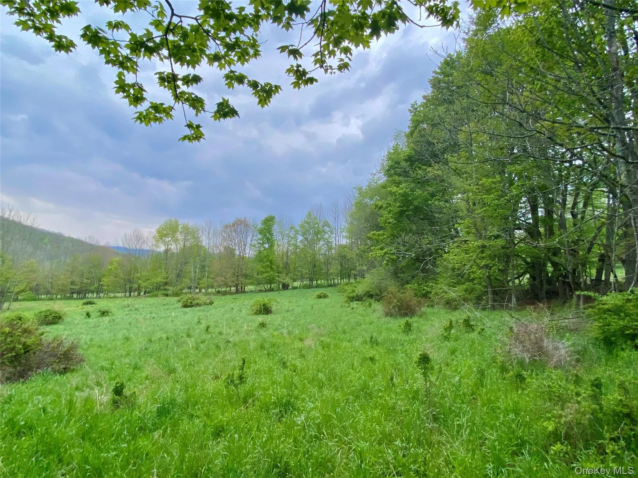 301 & 305 Hust Road Hust, Callicoon, NY, ,Land,For Rent,Hust,0,1004370 301 & 305 Hust Road Hust, Callicoon, NY, ,Land,For Rent,Hust,0,1004370