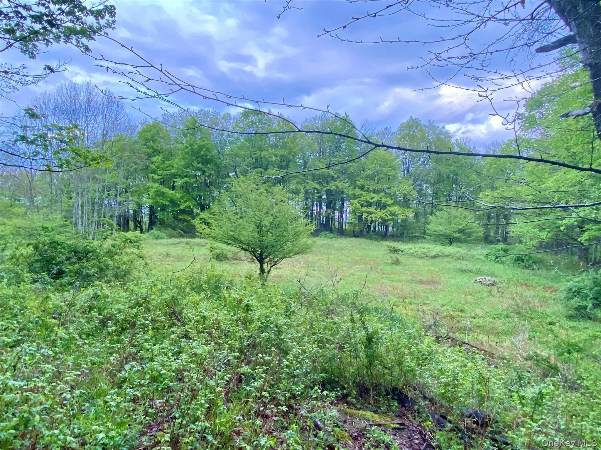 301 & 305 Hust Road Hust, Callicoon, NY, ,Land,For Rent,Hust,0,1004370 301 & 305 Hust Road Hust, Callicoon, NY, ,Land,For Rent,Hust,0,1004370