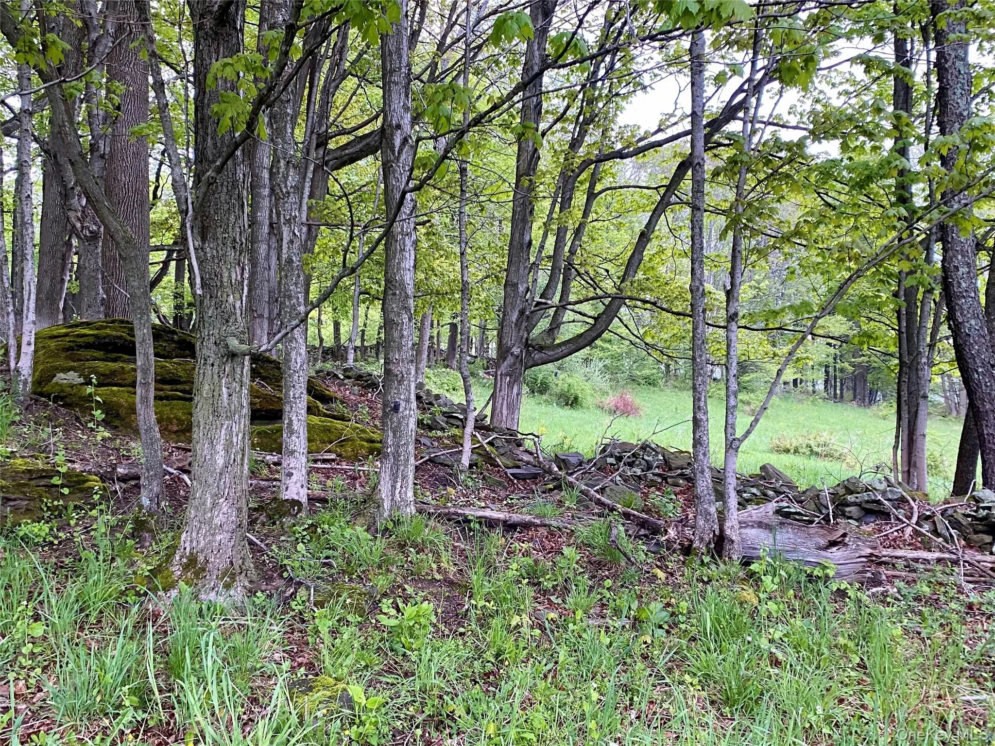 301 & 305 Hust Road Hust, Callicoon, NY, ,Land,For Rent,Hust,0,1004370 301 & 305 Hust Road Hust, Callicoon, NY, ,Land,For Rent,Hust,0,1004370