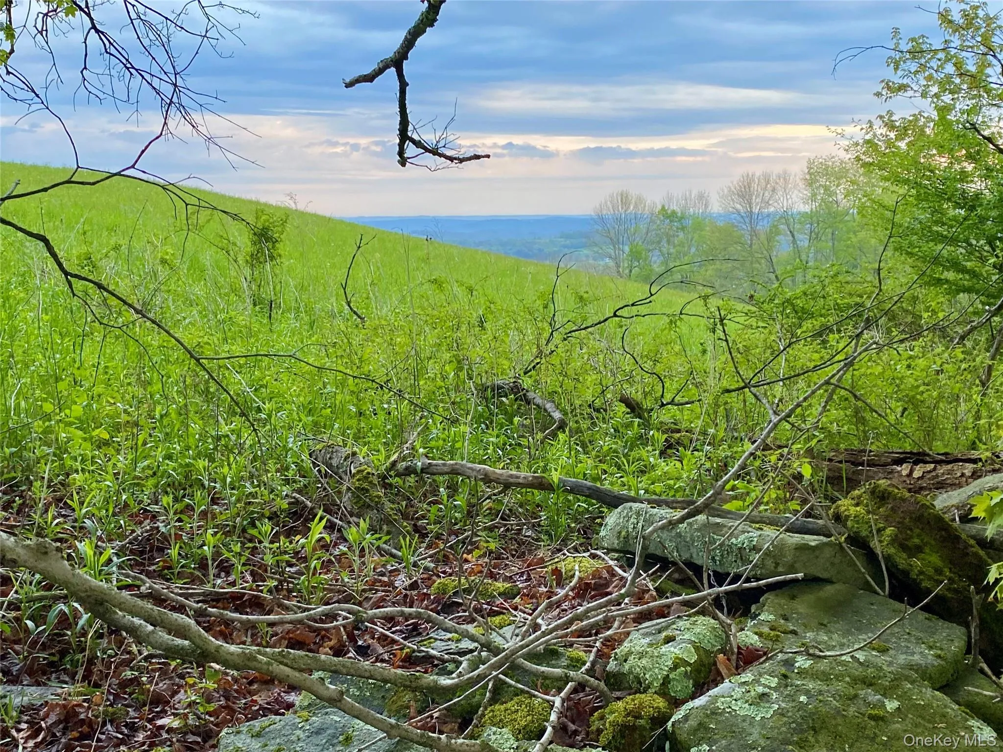 301 & 305 Hust Road Hust, Callicoon, NY, ,Land,For Rent,Hust,0,1004370 301 & 305 Hust Road Hust, Callicoon, NY, ,Land,For Rent,Hust,0,1004370