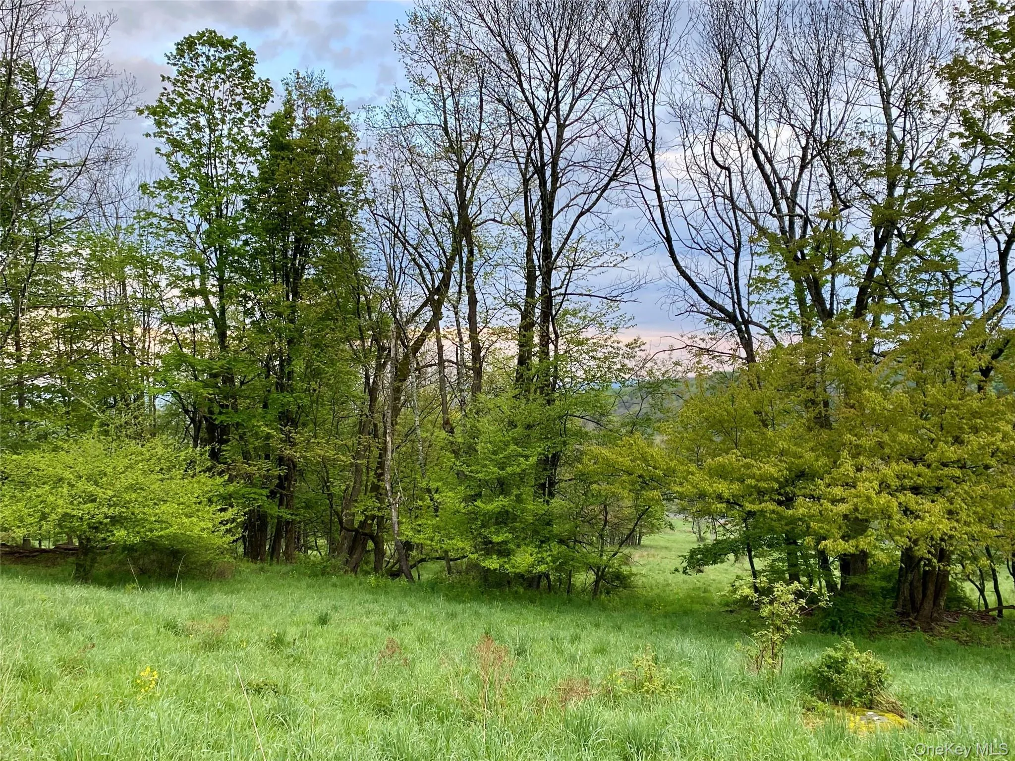 301 & 305 Hust Road Hust, Callicoon, NY, ,Land,For Rent,Hust,0,1004370 301 & 305 Hust Road Hust, Callicoon, NY, ,Land,For Rent,Hust,0,1004370