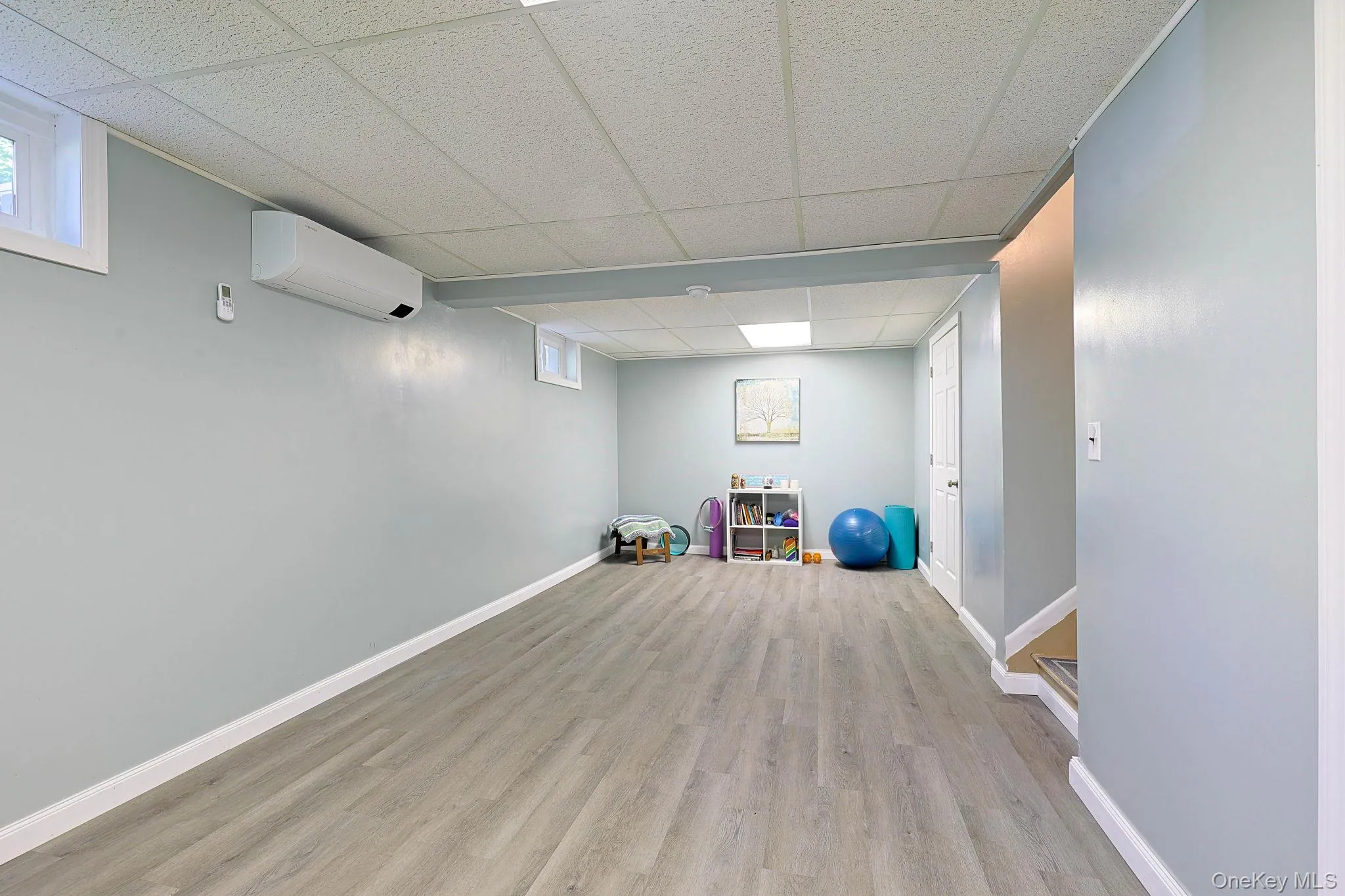Bonus area in the basement. Bonus area in the basement.