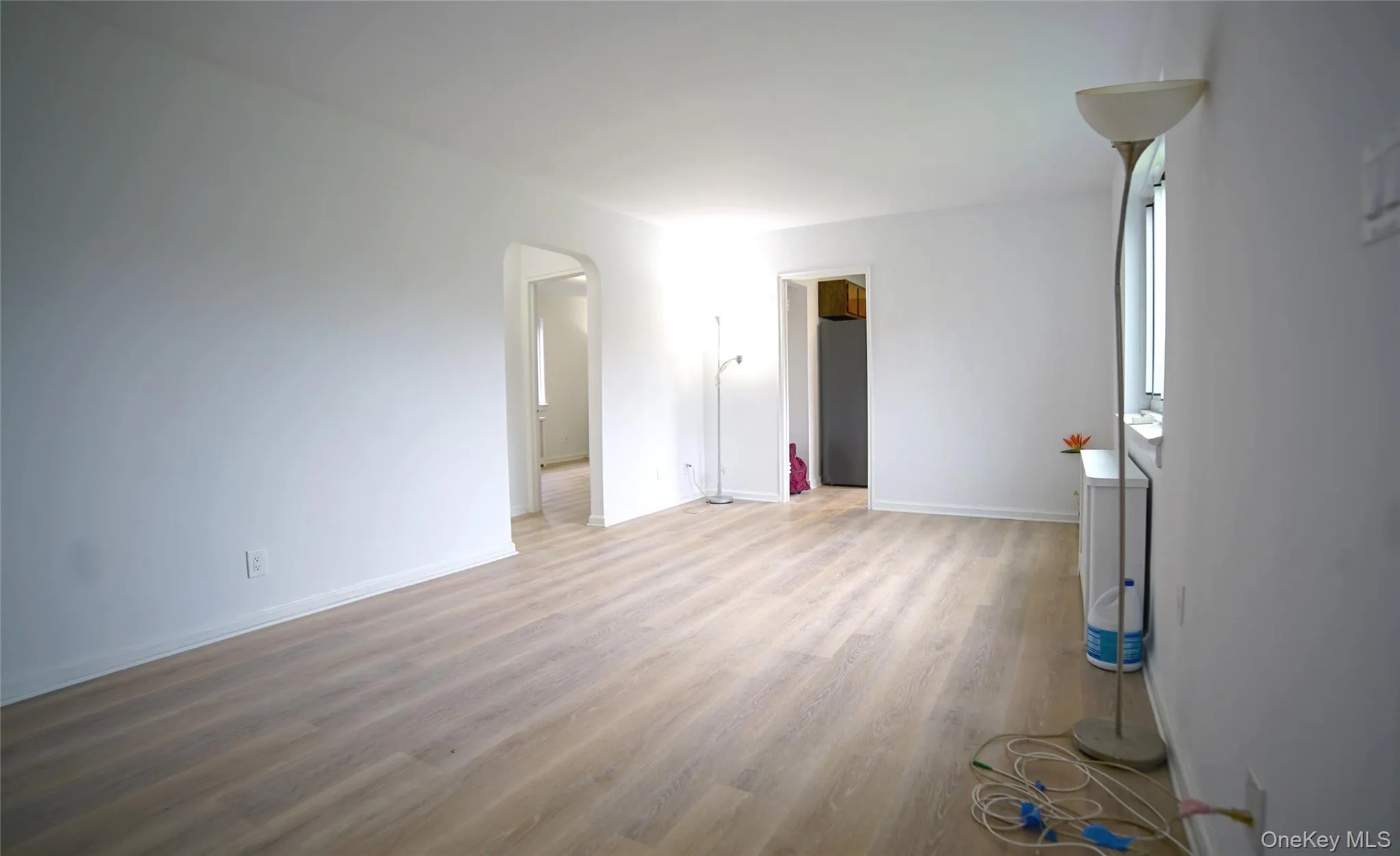 Unfurnished room with light wood-style floors, baseboards, and arched walkways Unfurnished room with light wood-style floors, baseboards, and arched walkways