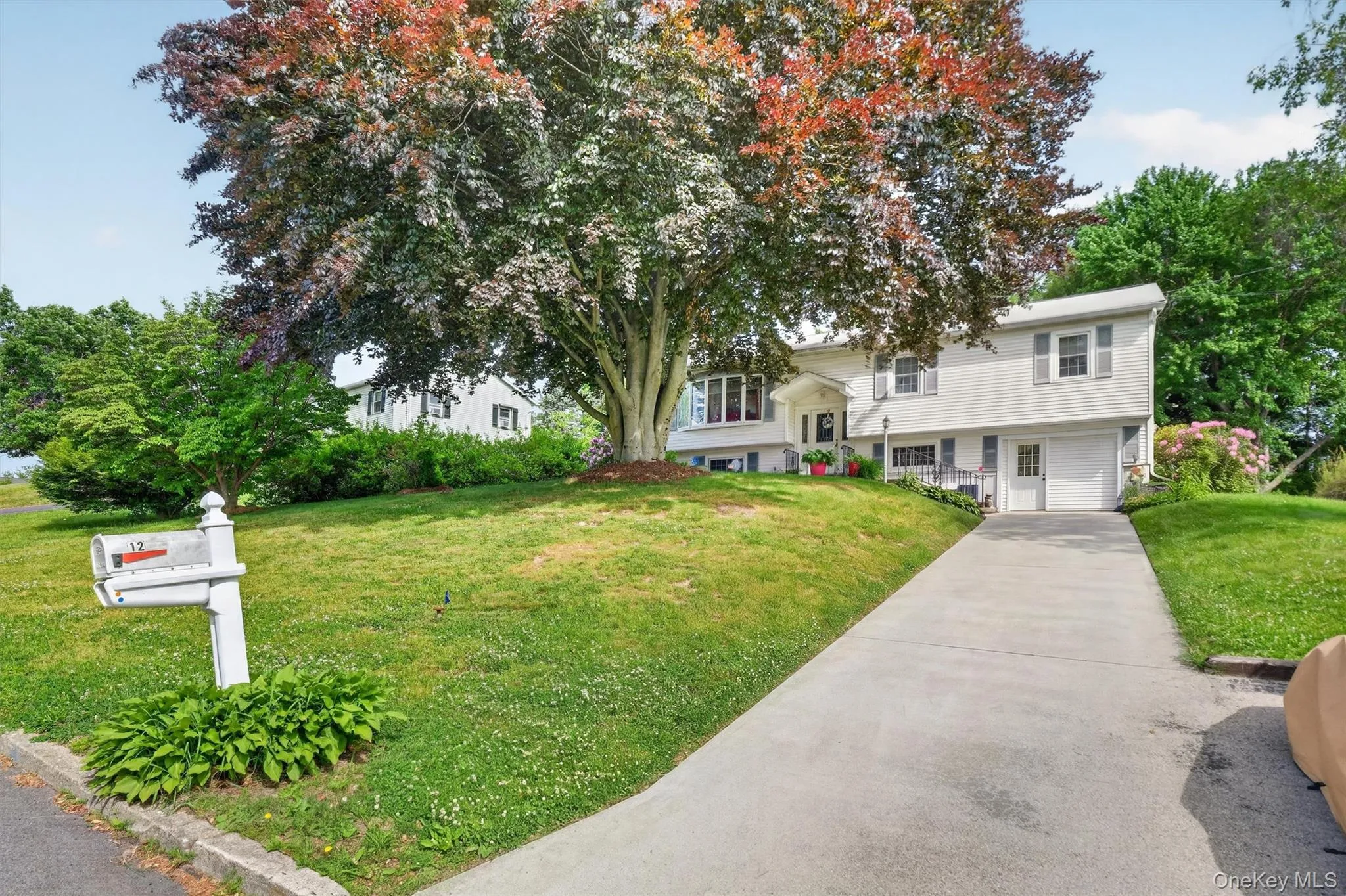 12 Dwyer Lane, Wappinger, NY, 4 Bedrooms Bedrooms, 11 Rooms Rooms,2 BathroomsBathrooms,Residential,For Rent,Dwyer,0,1004392 12 Dwyer Lane, Wappinger, NY, 4 Bedrooms Bedrooms, 11 Rooms Rooms,2 BathroomsBathrooms,Residential,For Rent,Dwyer,0,1004392