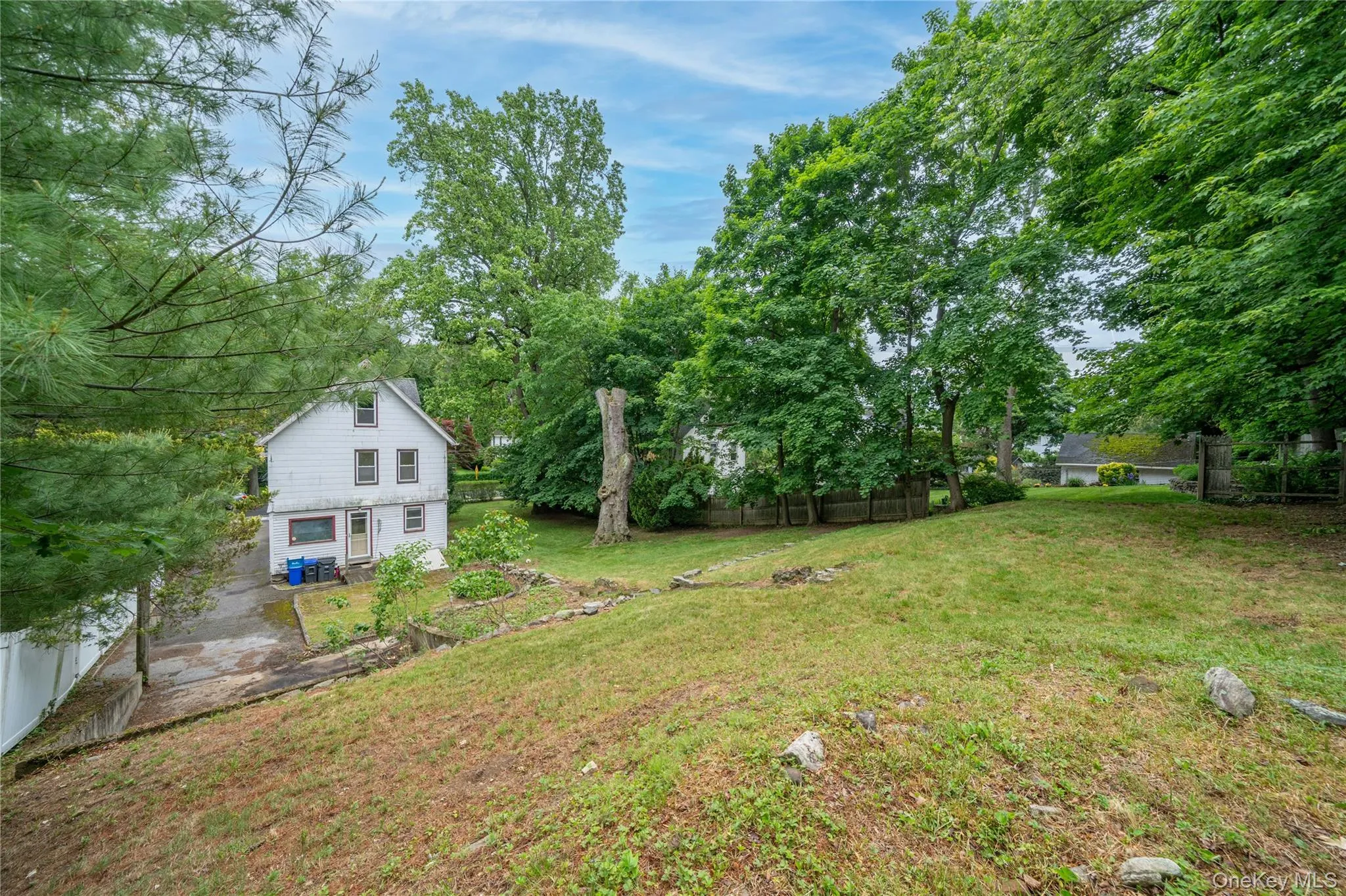 Large Backyard Large Backyard