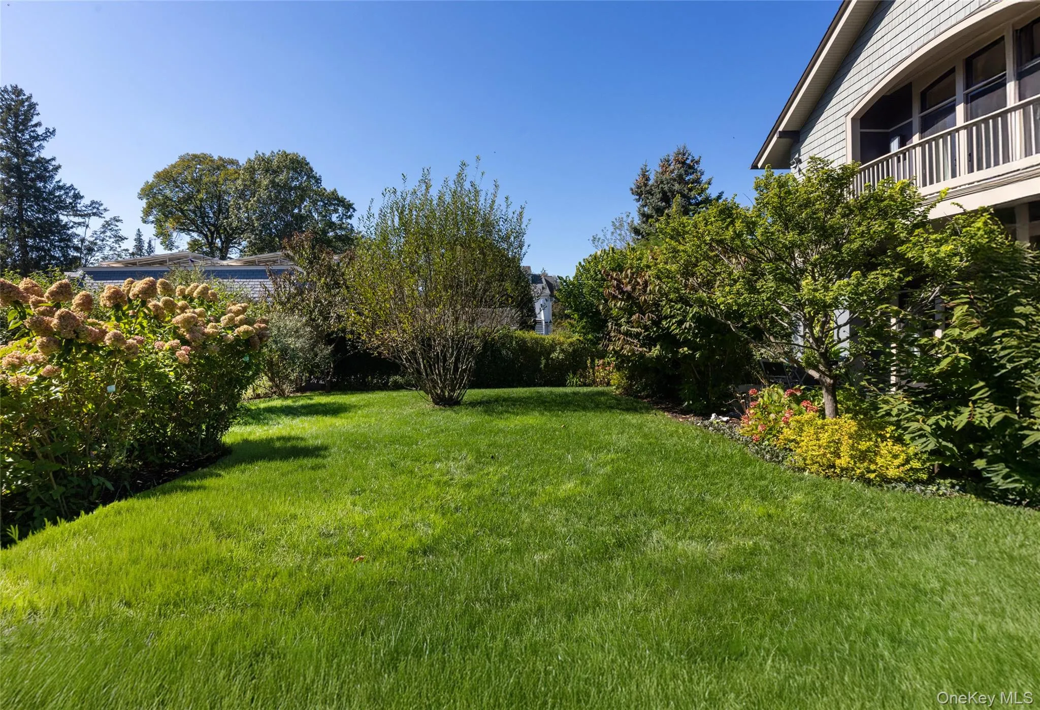 Backyard Backyard
