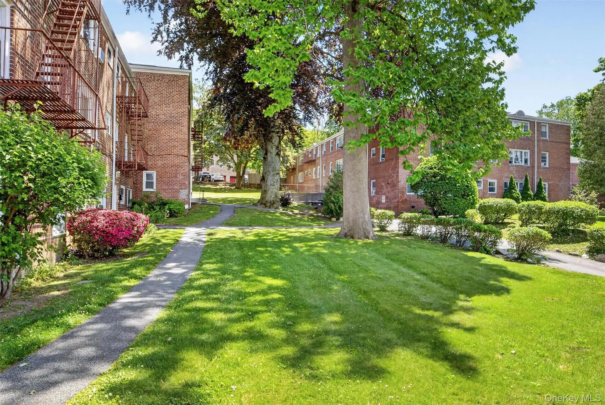 205 Post Road, White Plains, NY, 1 Bedroom Bedrooms, 2 Rooms Rooms,1 BathroomBathrooms,Residential,For Rent,Post,0,1004406 205 Post Road, White Plains, NY, 1 Bedroom Bedrooms, 2 Rooms Rooms,1 BathroomBathrooms,Residential,For Rent,Post,0,1004406
