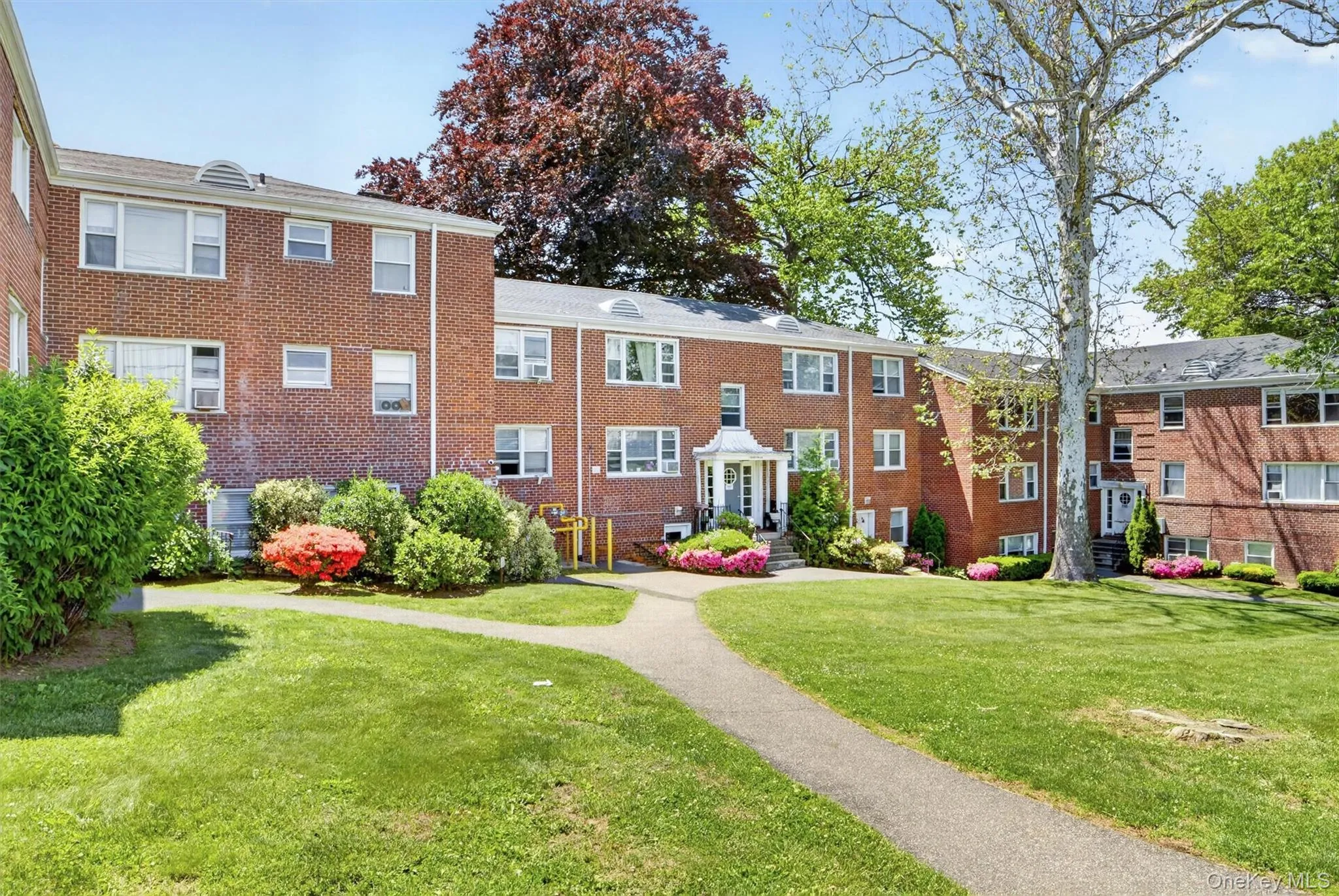 205 Post Road, White Plains, NY, 1 Bedroom Bedrooms, 2 Rooms Rooms,1 BathroomBathrooms,Residential,For Rent,Post,0,1004406 205 Post Road, White Plains, NY, 1 Bedroom Bedrooms, 2 Rooms Rooms,1 BathroomBathrooms,Residential,For Rent,Post,0,1004406