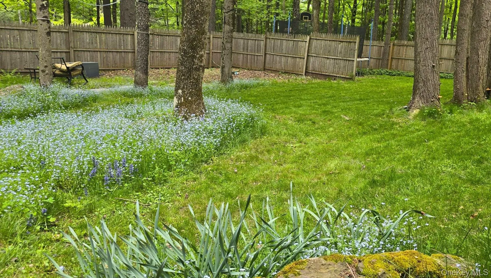 26 Ballard Street, Bethel, NY, 3 Bedrooms Bedrooms, 6 Rooms Rooms,2 BathroomsBathrooms,Residential,For Rent,Ballard,0,1004410 26 Ballard Street, Bethel, NY, 3 Bedrooms Bedrooms, 6 Rooms Rooms,2 BathroomsBathrooms,Residential,For Rent,Ballard,0,1004410