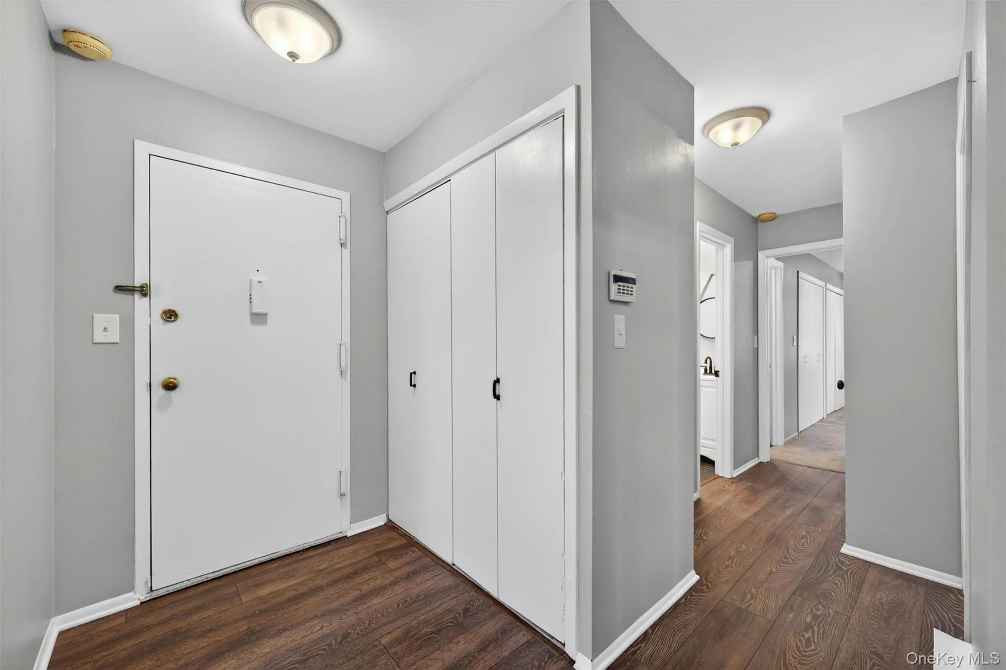 Entry foyer featuring wood-finish flooring and light gray walls Entry foyer featuring wood-finish flooring and light gray walls