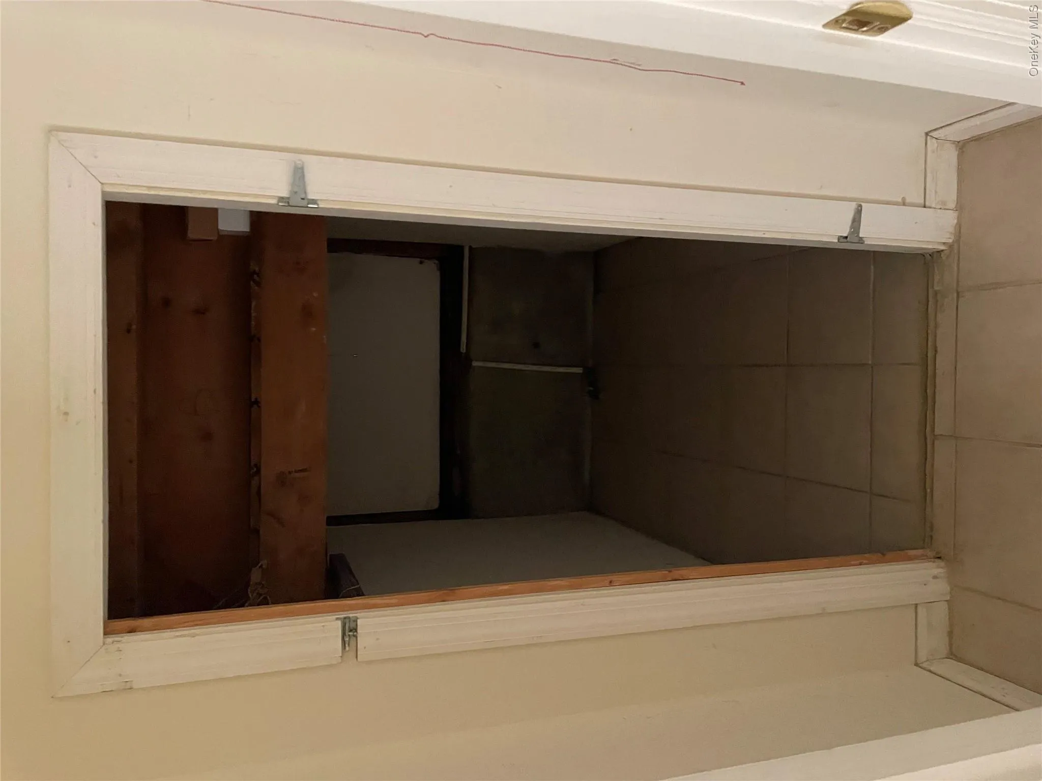 Living Room Closet Storage Living Room Closet Storage