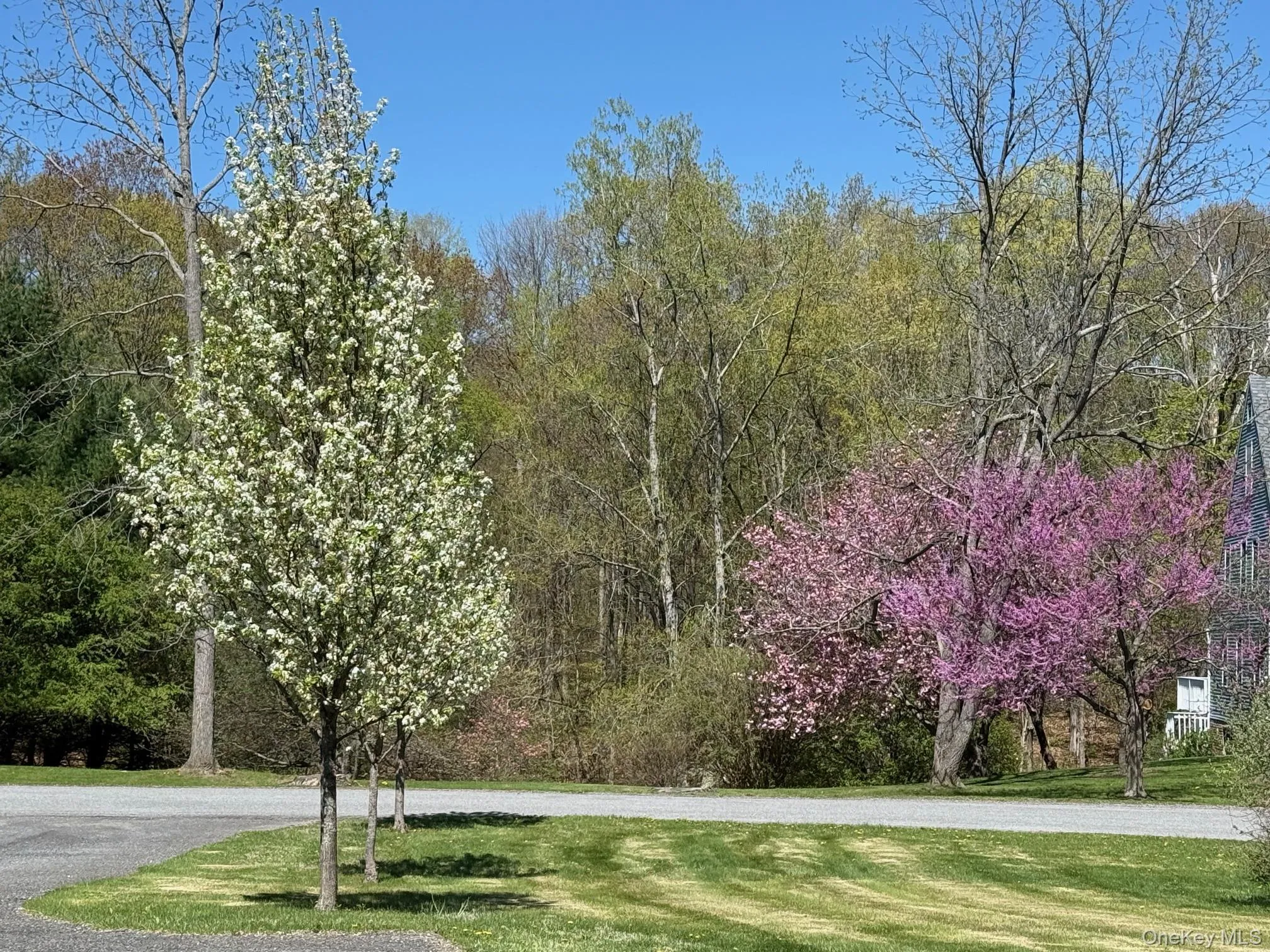 24 Mountain View Road, Amenia, NY, 3 Bedrooms Bedrooms, 8 Rooms Rooms,2 BathroomsBathrooms,Residential Lease,For Rent,Mountain View,0,1004468 24 Mountain View Road, Amenia, NY, 3 Bedrooms Bedrooms, 8 Rooms Rooms,2 BathroomsBathrooms,Residential Lease,For Rent,Mountain View,0,1004468