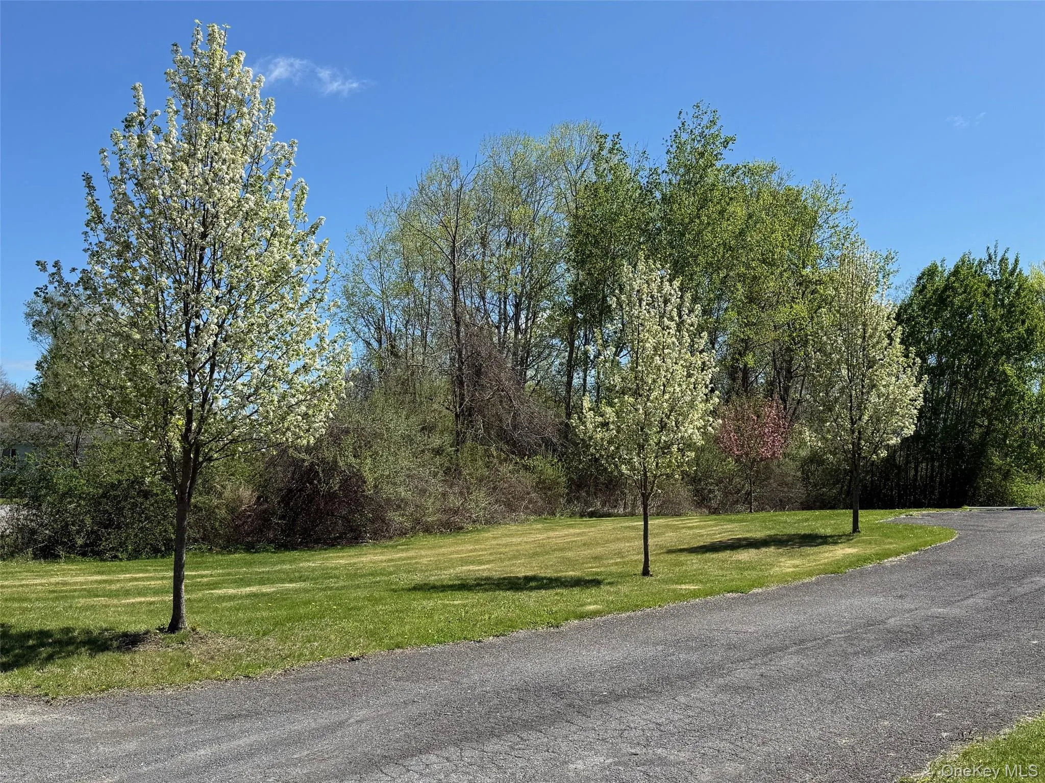24 Mountain View Road, Amenia, NY, 3 Bedrooms Bedrooms, 8 Rooms Rooms,2 BathroomsBathrooms,Residential Lease,For Rent,Mountain View,0,1004468 24 Mountain View Road, Amenia, NY, 3 Bedrooms Bedrooms, 8 Rooms Rooms,2 BathroomsBathrooms,Residential Lease,For Rent,Mountain View,0,1004468