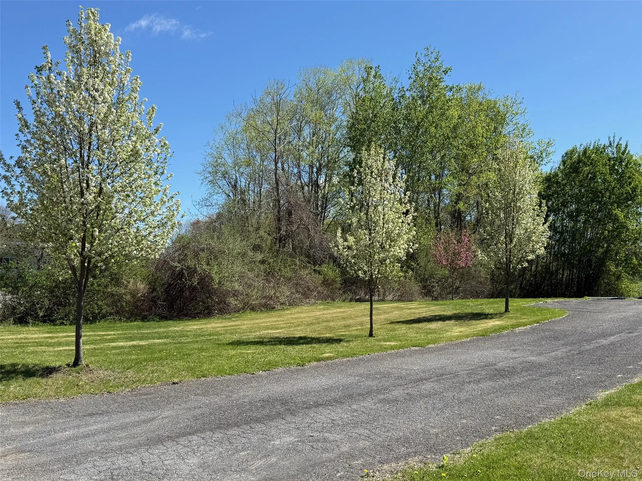 24 Mountain View Road, Amenia, NY, 3 Bedrooms Bedrooms, 8 Rooms Rooms,2 BathroomsBathrooms,Residential Lease,For Rent,Mountain View,0,1004468 24 Mountain View Road, Amenia, NY, 3 Bedrooms Bedrooms, 8 Rooms Rooms,2 BathroomsBathrooms,Residential Lease,For Rent,Mountain View,0,1004468