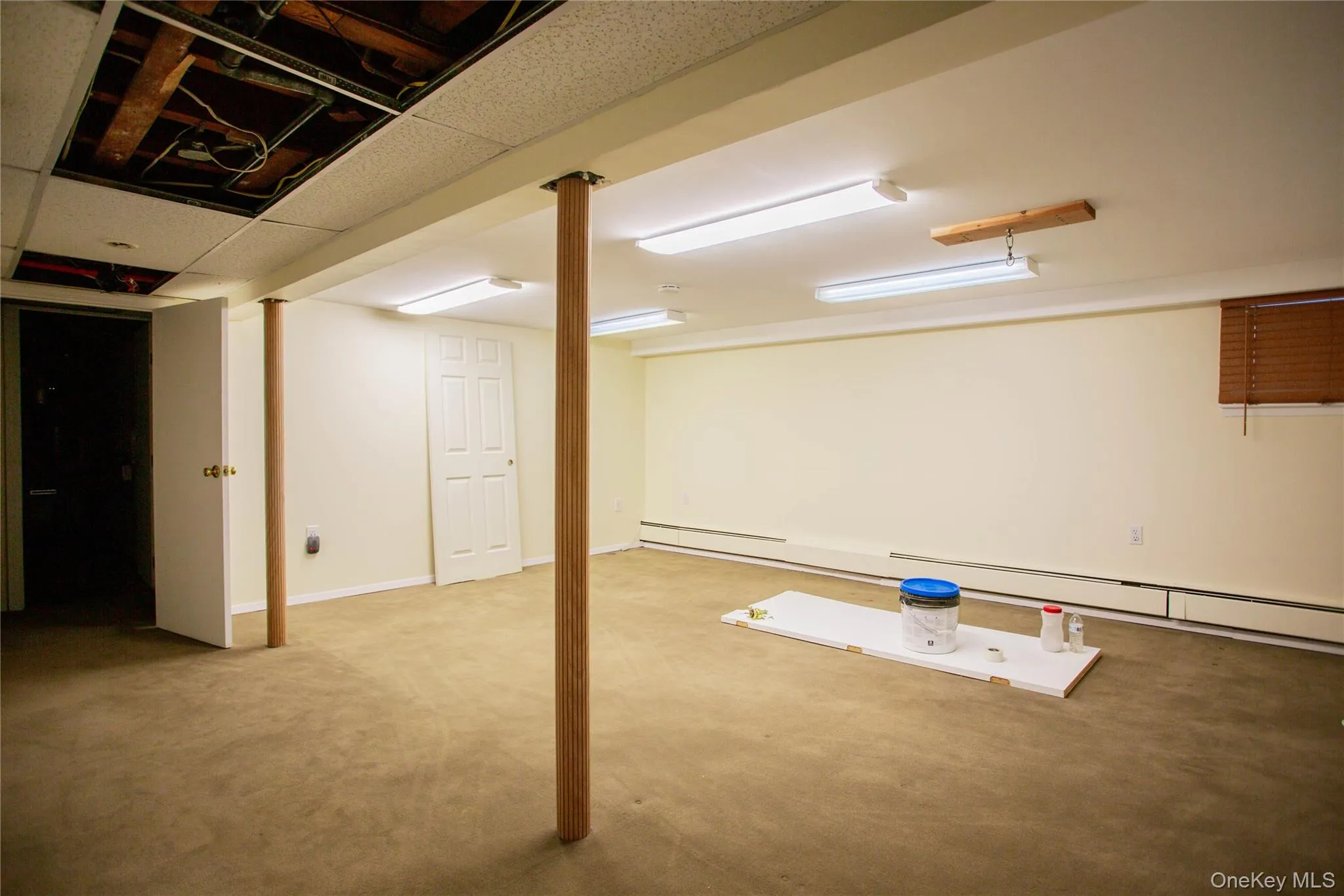 Finished basement with a baseboard radiator and carpet Finished basement with a baseboard radiator and carpet