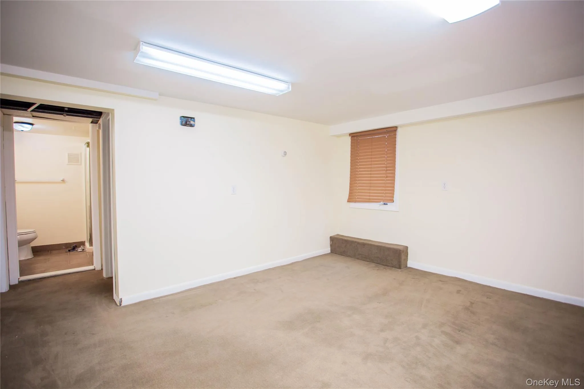 Carpeted empty room featuring baseboards Carpeted empty room featuring baseboards