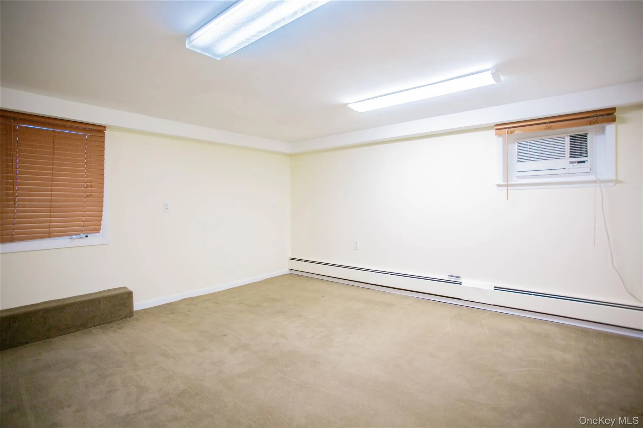 Finished basement featuring baseboards, baseboard heating, carpet flooring, and a wall unit AC Finished basement featuring baseboards, baseboard heating, carpet flooring, and a wall unit AC