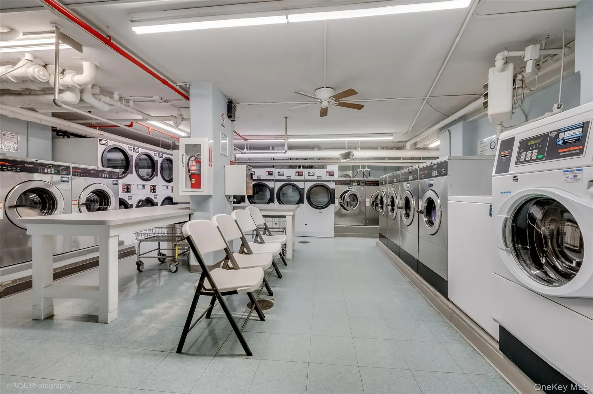 39-65 52nd St, New York, NY, 1 Bedroom Bedrooms, 3 Rooms Rooms,1 BathroomBathrooms,Residential,For Rent,52nd St,0,1004488 39-65 52nd St, New York, NY, 1 Bedroom Bedrooms, 3 Rooms Rooms,1 BathroomBathrooms,Residential,For Rent,52nd St,0,1004488