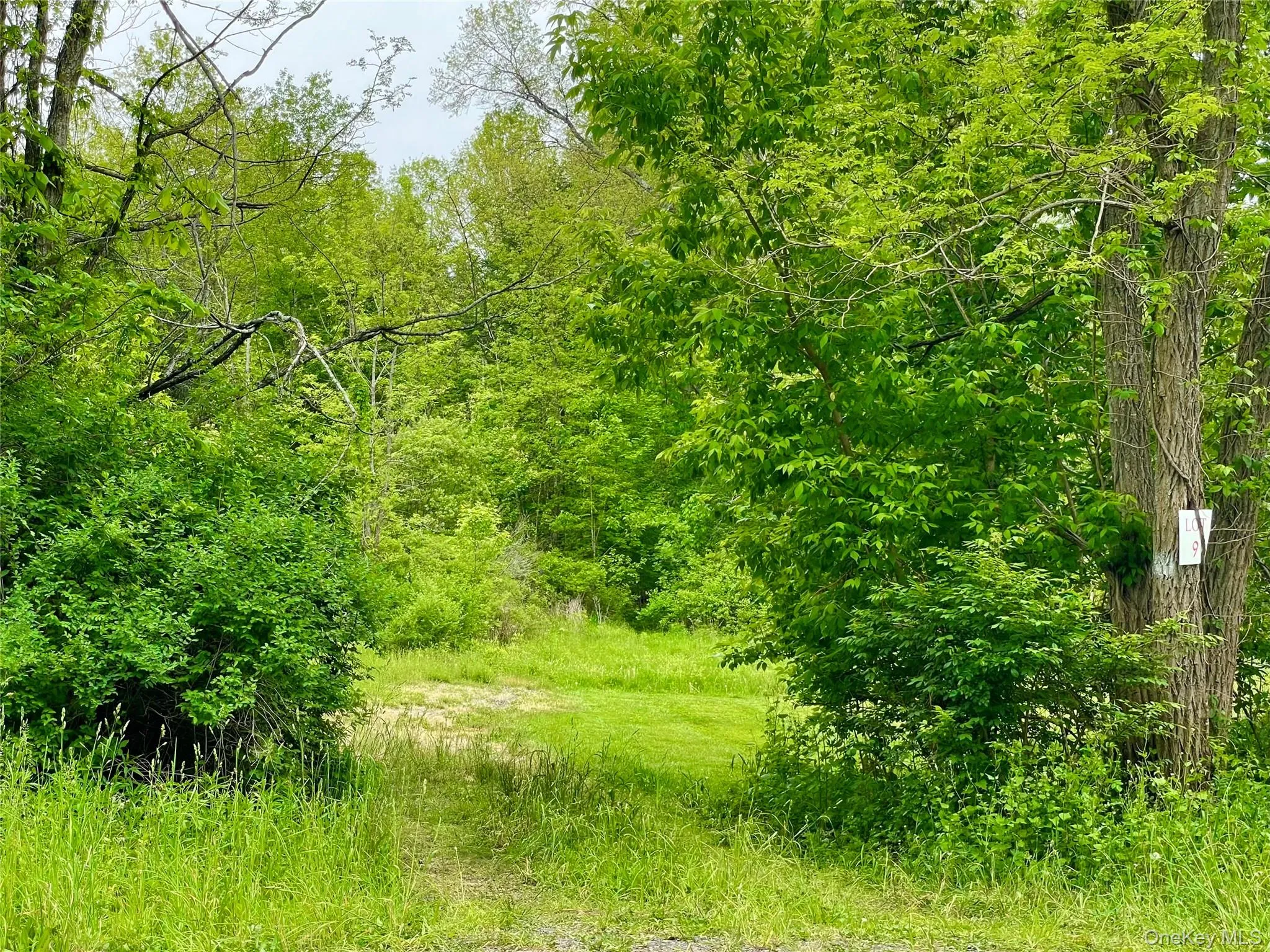Orchard Drive, Plattekill, NY, ,Land,For Rent,Orchard,0,1004494 Orchard Drive, Plattekill, NY, ,Land,For Rent,Orchard,0,1004494