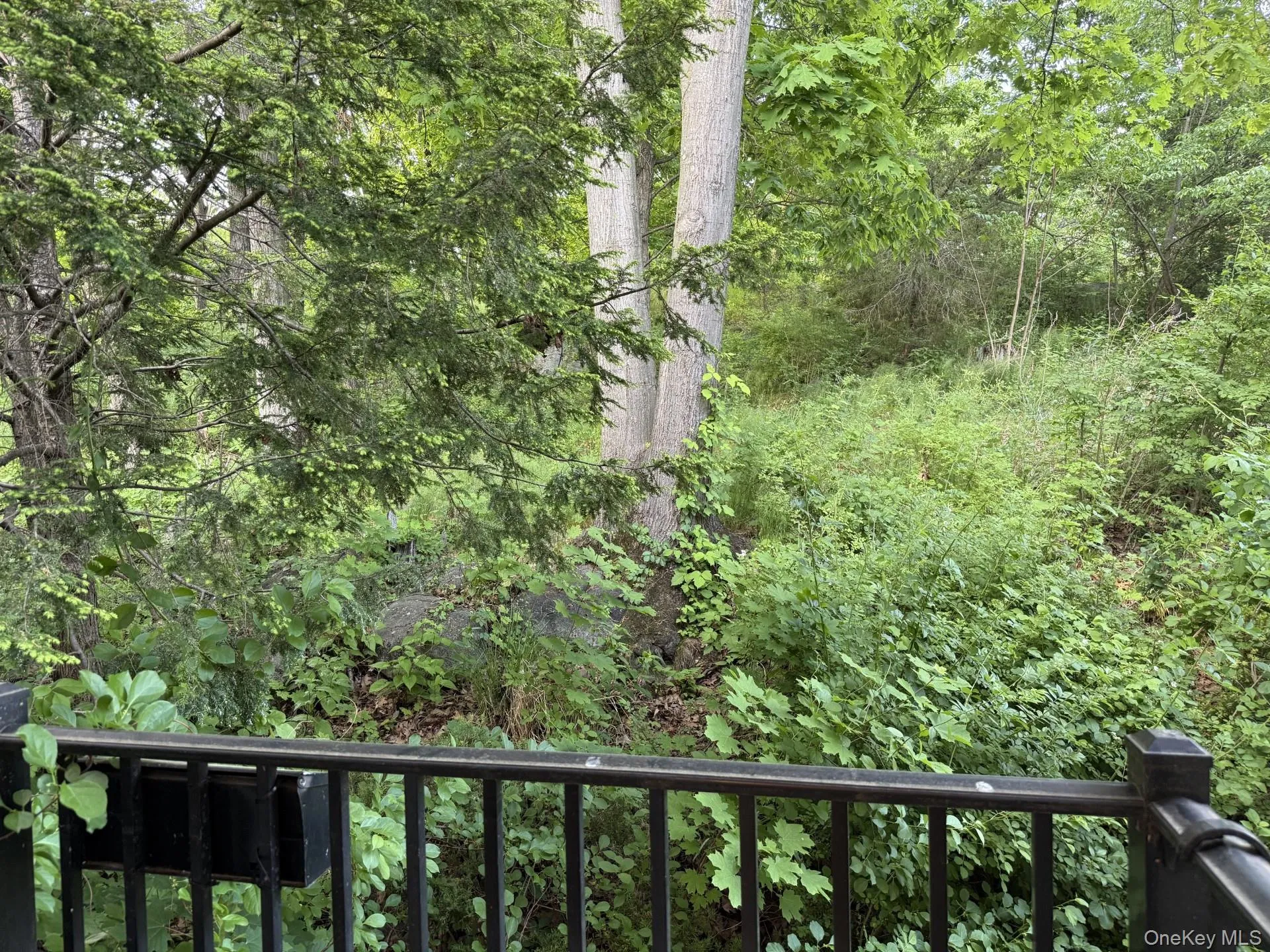 Balcony with view of woods Balcony with view of woods