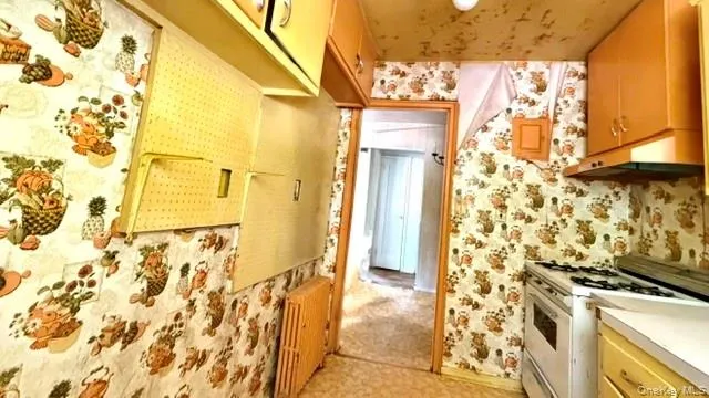 217-22 67th Avenue, New York, NY, 1 Bedroom Bedrooms, 3 Rooms Rooms,1 BathroomBathrooms,Residential,For Rent,67th,0,1004522 217-22 67th Avenue, New York, NY, 1 Bedroom Bedrooms, 3 Rooms Rooms,1 BathroomBathrooms,Residential,For Rent,67th,0,1004522